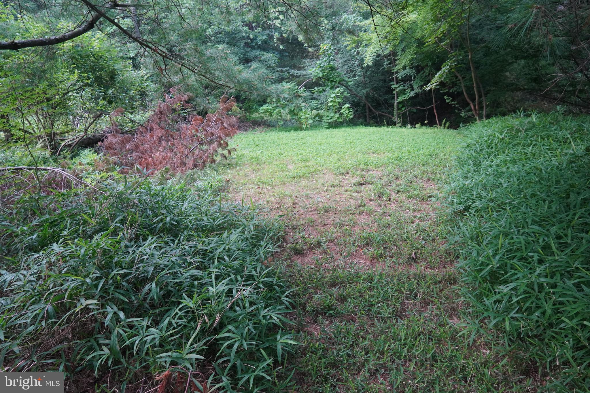 DUNN HILL - Residential
