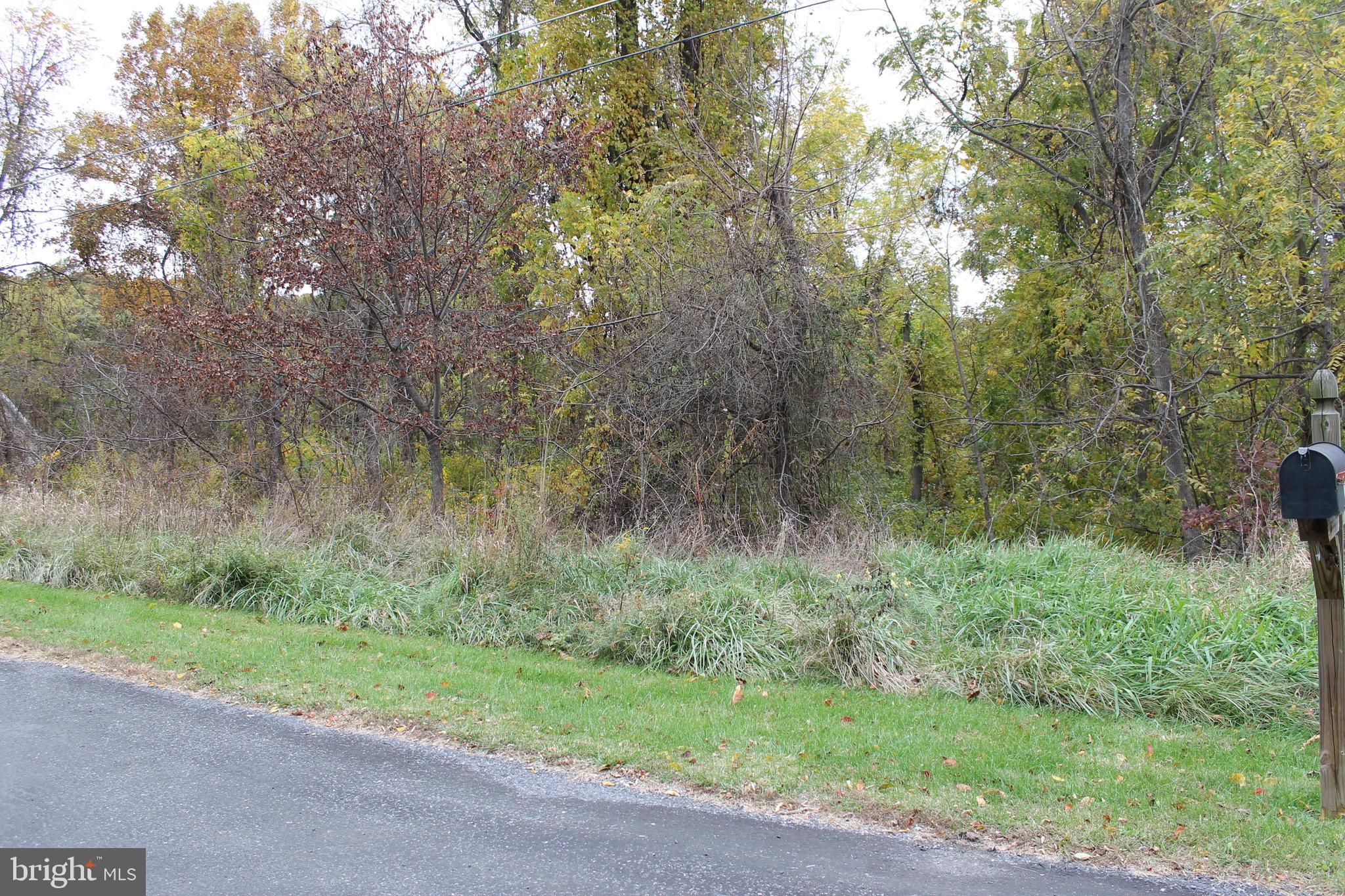 NEW PRICE!!!  LOCATED ON CUL DE SAC TRAIL ....Wooded 0.52 acre building lot in Carroll Valley Boro, Fairfield Area School District.  Although this lot failed perc testing on the slope in May 1996, there is a possibility of it achieving a successful perc result if tested in the more level area of the parcel.  Since then, other lots surrounding this one achieved successful perc tests on very similar terrain and now have homes on them...... Seller will permit Buyer to conduct a perc test at Buyer's expense with a ratified contract.  Located near skiing, golfing, state and national parks, and even historic Gettysburg.  Ideally located for commuters. No HOA and Use Builder of Your Choice.  Well Required.  Zoned R-2, Residential Low Density.  Negotiate your deal today!