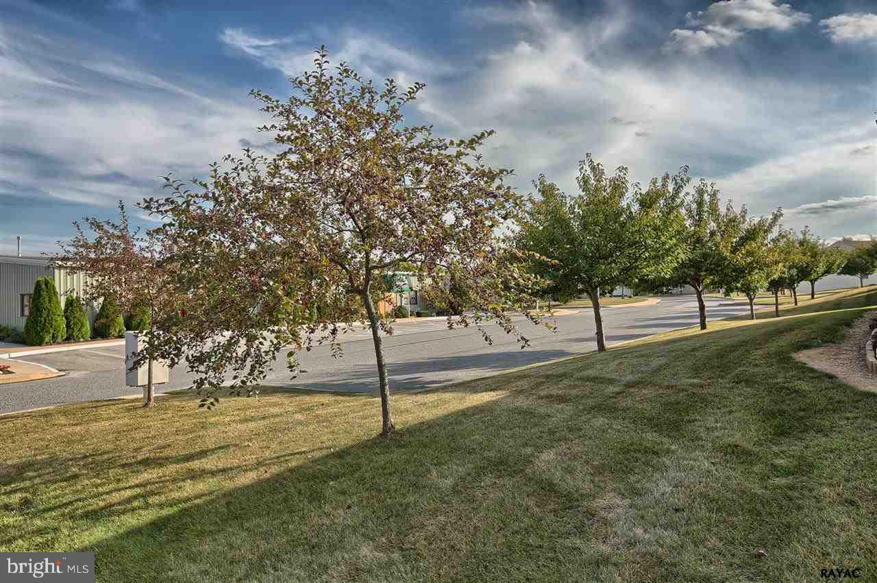 EQUINE MEADOWS - Residential