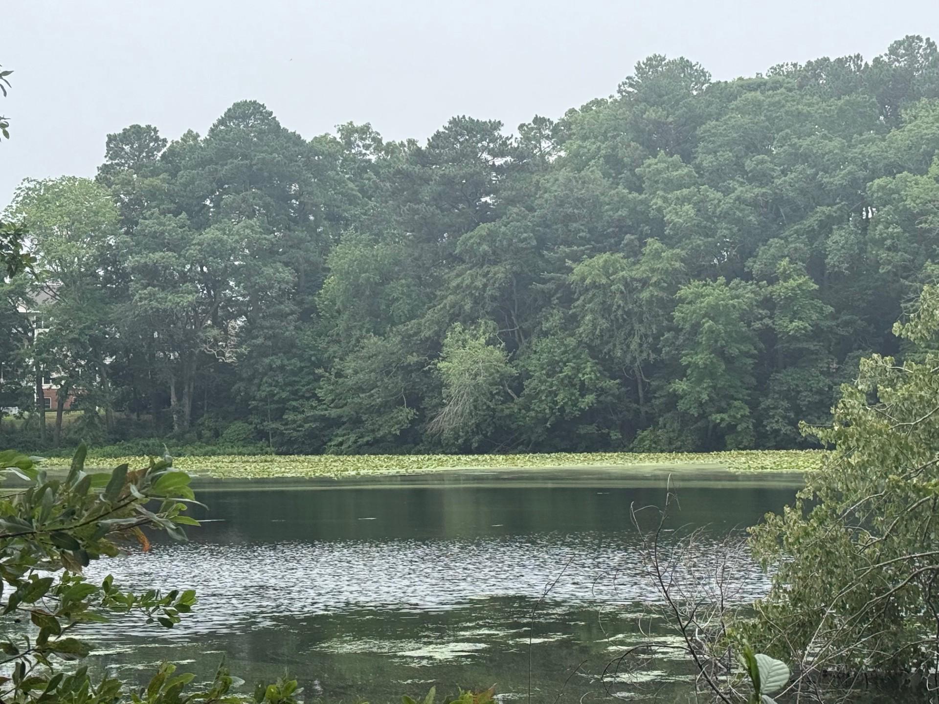 SCHUMAKER WOODS - Land