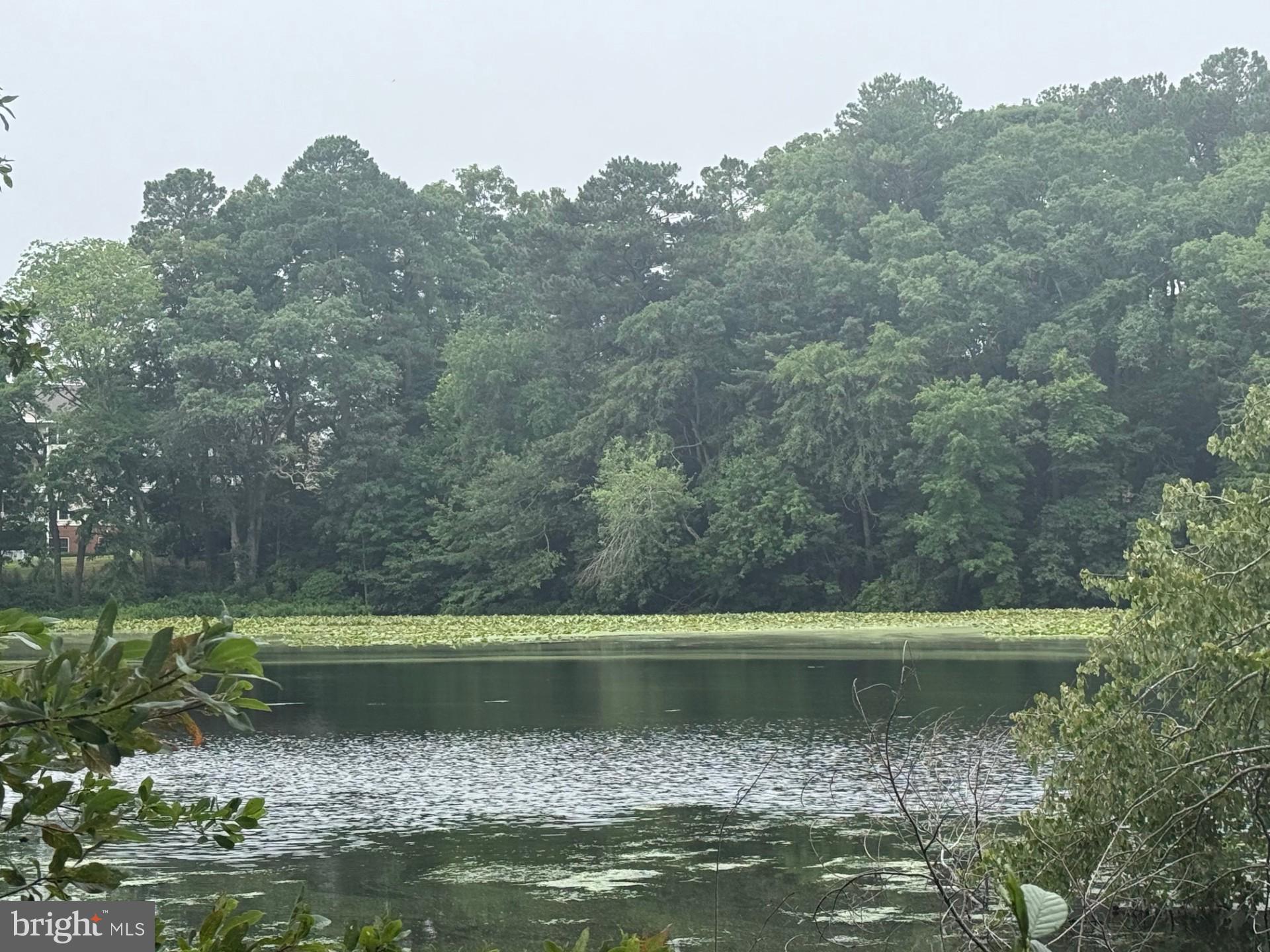 SCHUMAKER WOODS - Land