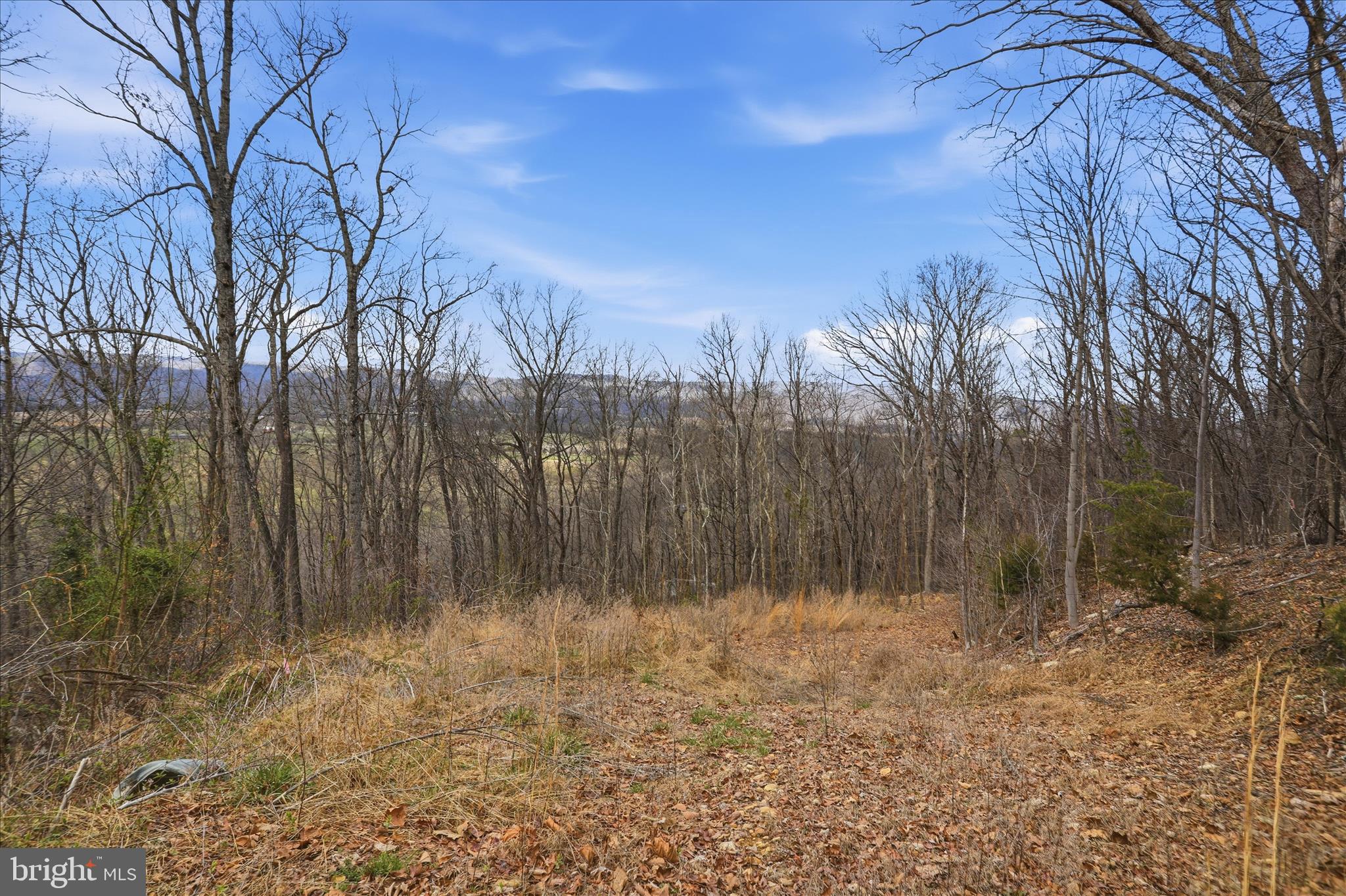 SHENANDOAH GAP - Land