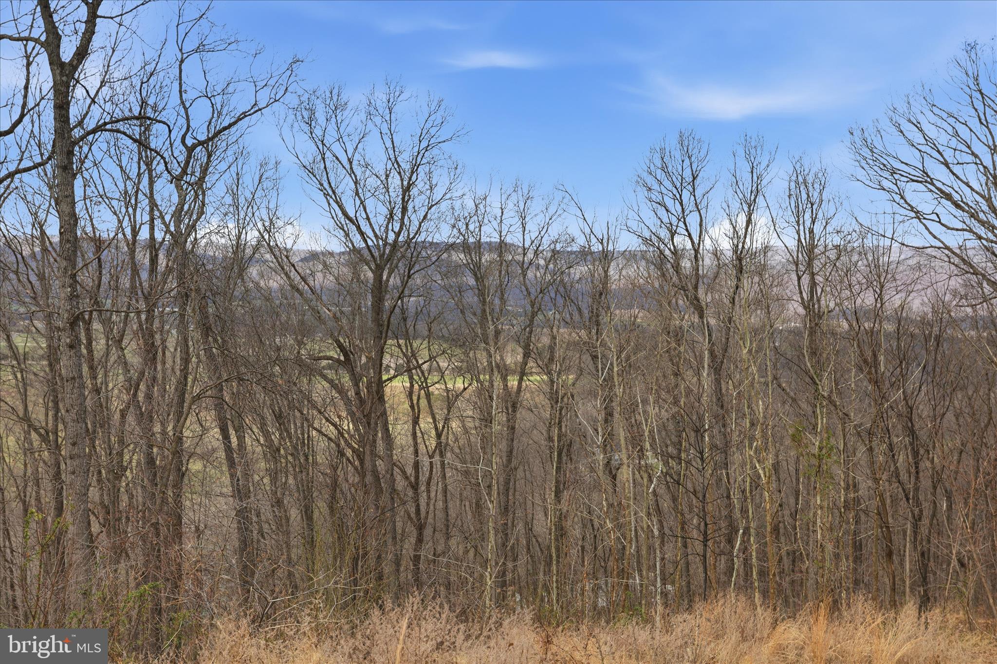 SHENANDOAH GAP - Land