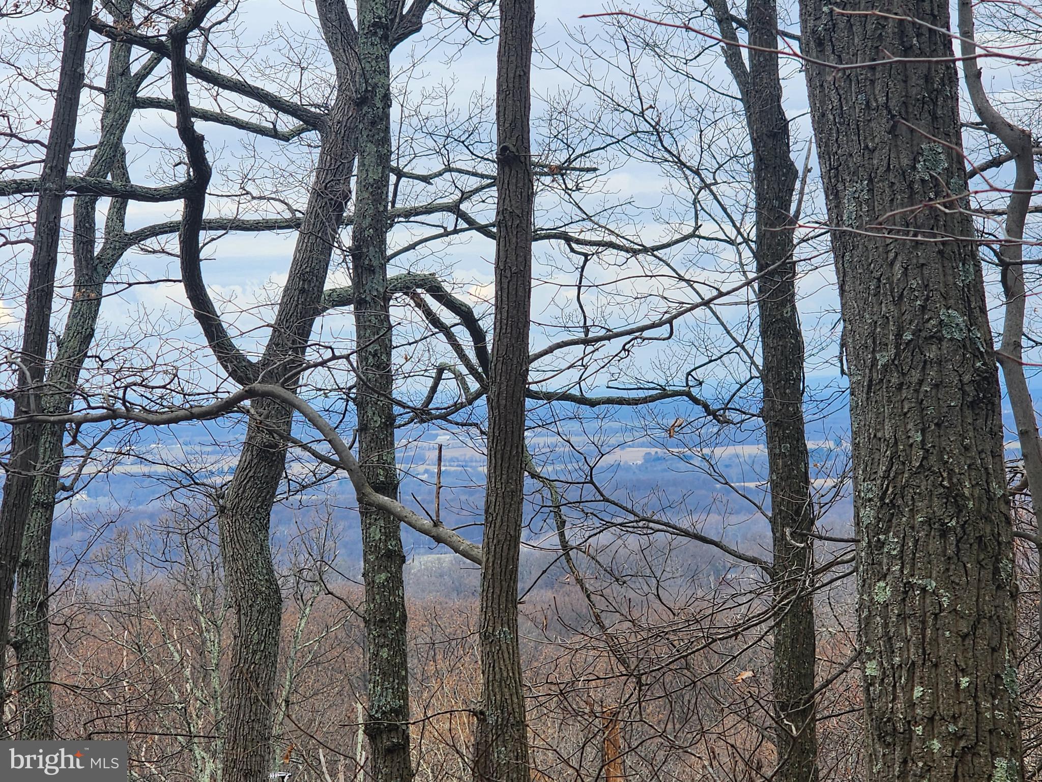 SHANNONDALE - Land