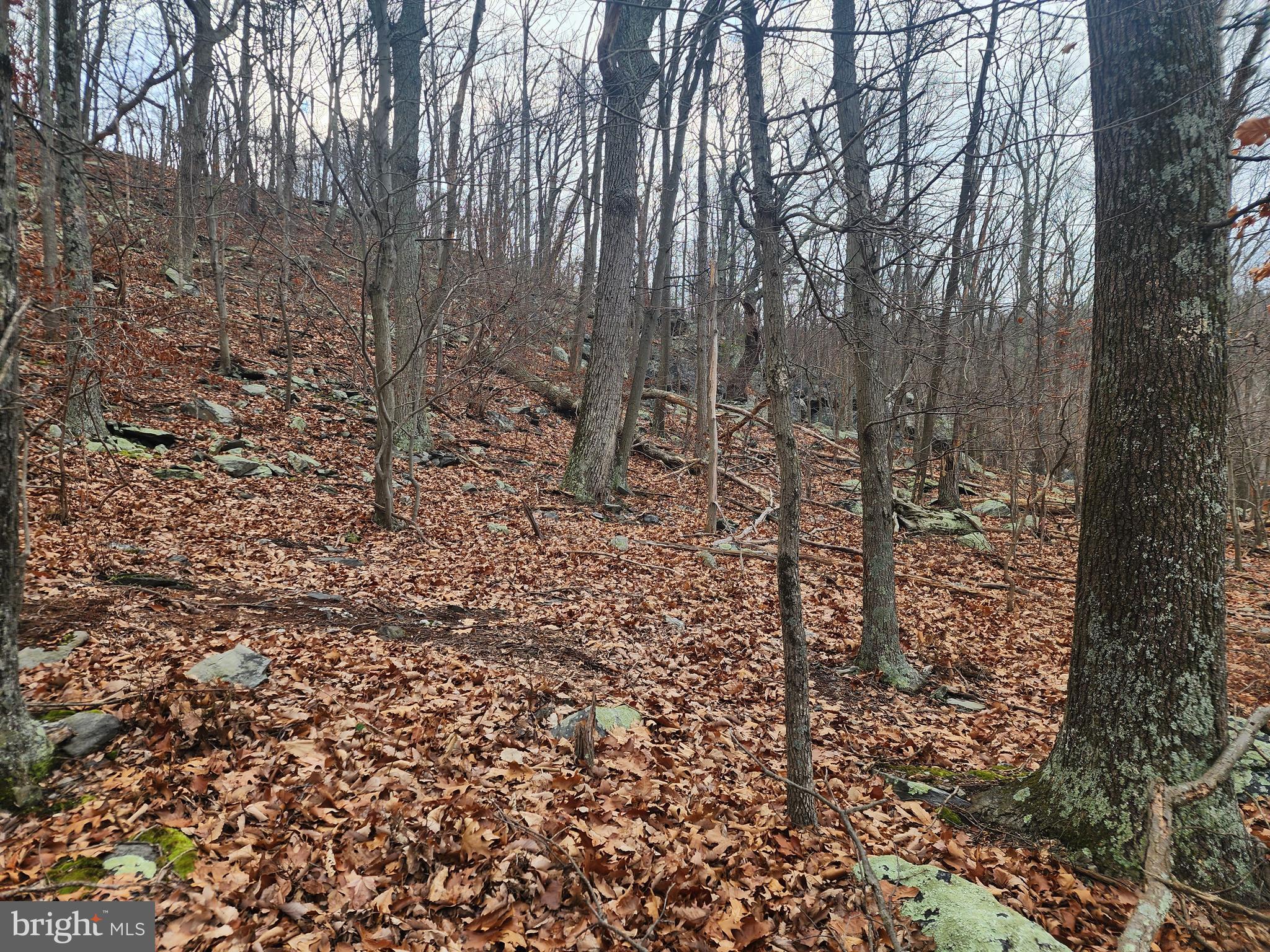 SHANNONDALE - Land