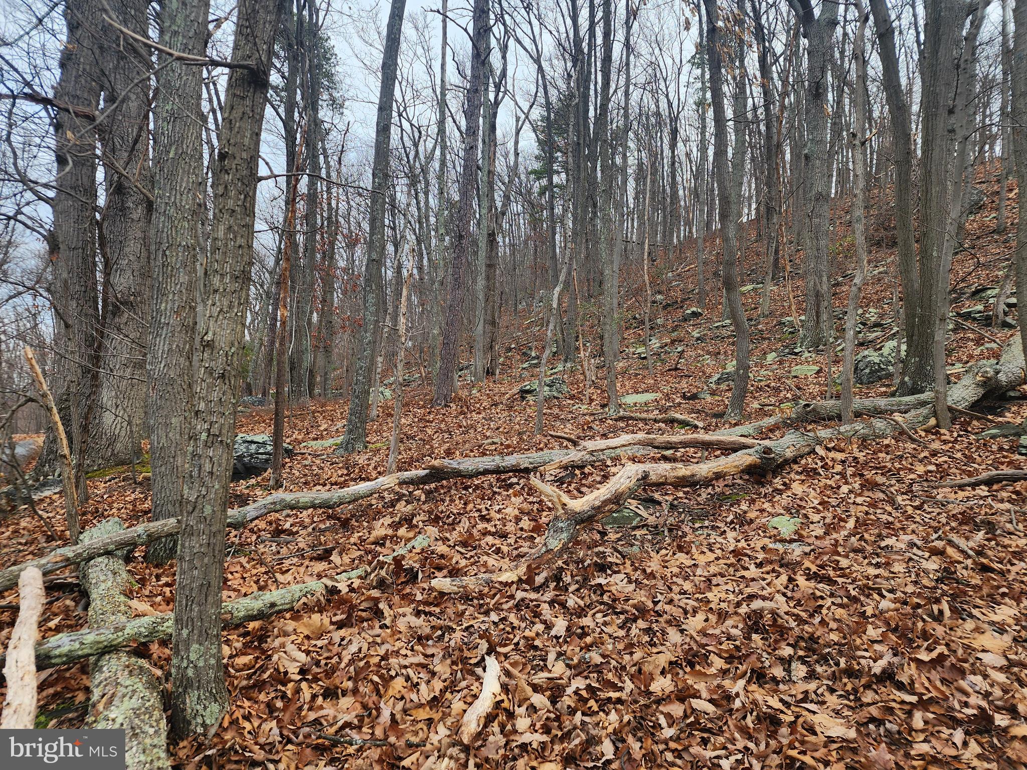 SHANNONDALE - Land