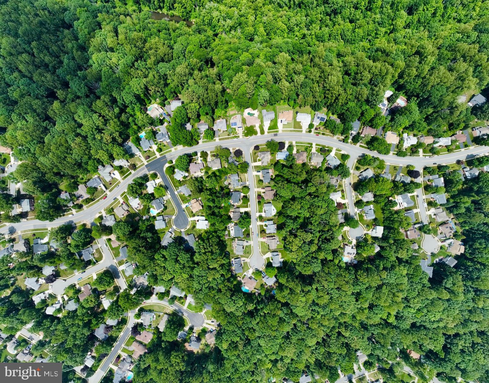 CARDINAL FOREST - Residential