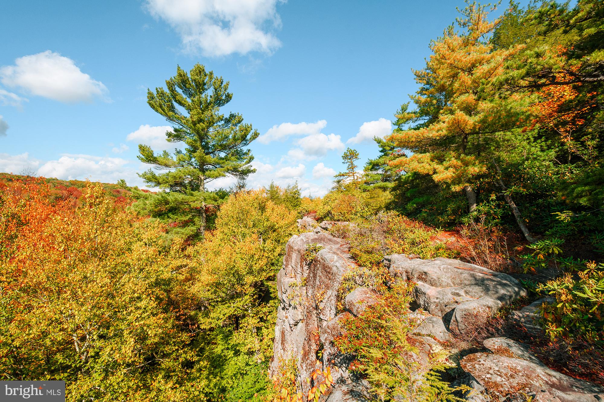 YOUGHIOUGHENY MOUNTAIN - Land