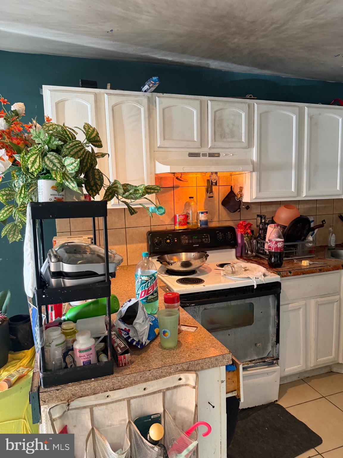 ELMWOOD PARK - Residential