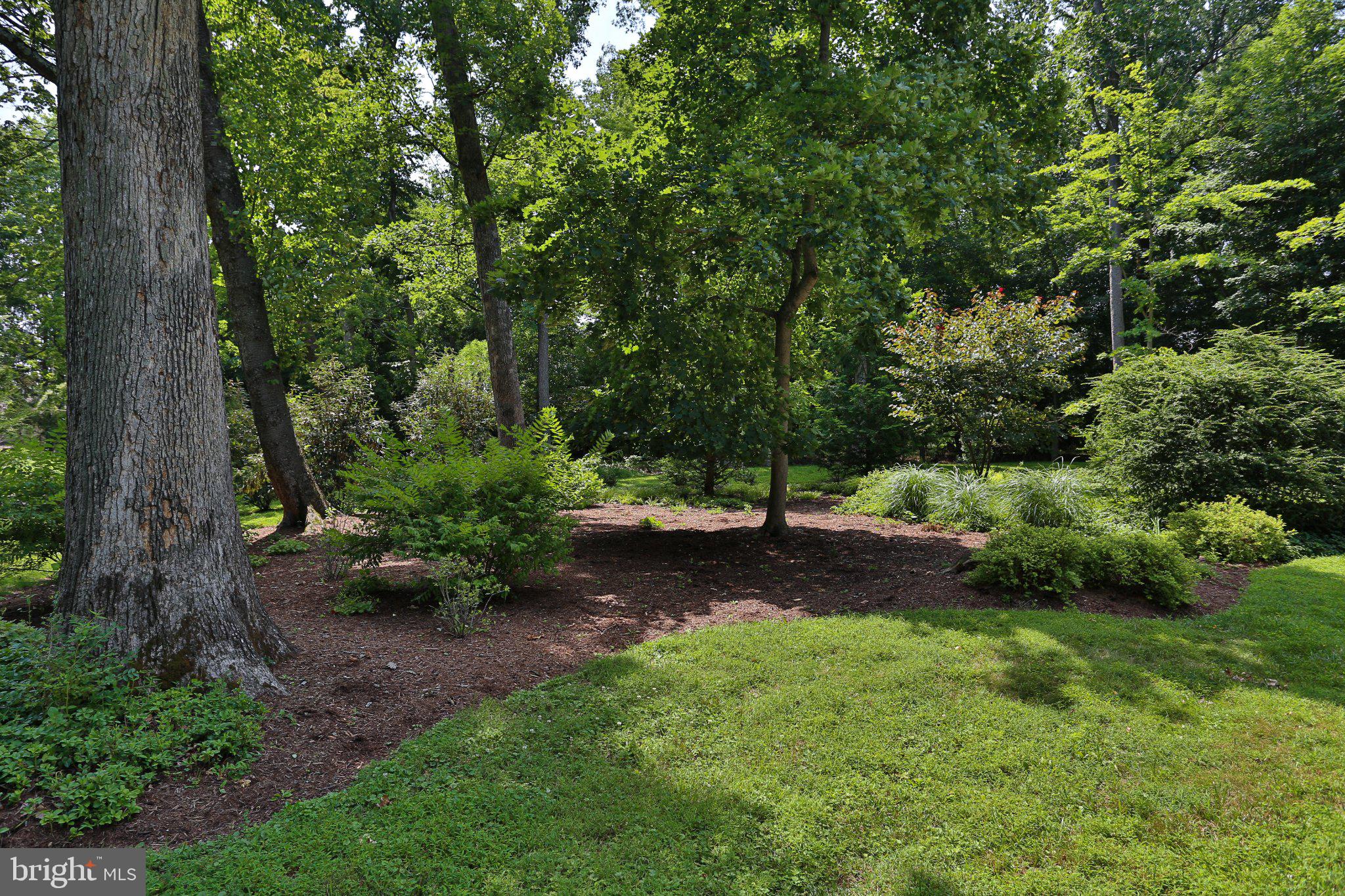 BUTTONWOOD MANOR - Residential