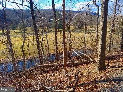 One acre lot, on a most interesting setting; tucked into a wooded Carroll Valley hillside, with the creek running below, also touch the Carroll Valley Golf Course. Stones throw away from the resort and the ski slopes, it's a perfect get away spot. Previous sellers have have have compiled house and site plans to fit the unusual terrain. Ready for someone with vision to build  out of ordinary homes. Because the slope is greater than 15%, a normal perc test can not be done. It will need to have one of the Alternate septic systems designed.
Near Historic Gettysburg, National Military Park, and Museum, Liberty Mountain Ski Resort, Golf Courses, beautiful orchards and wineries. Similar one acre lot is also listed next to this one.