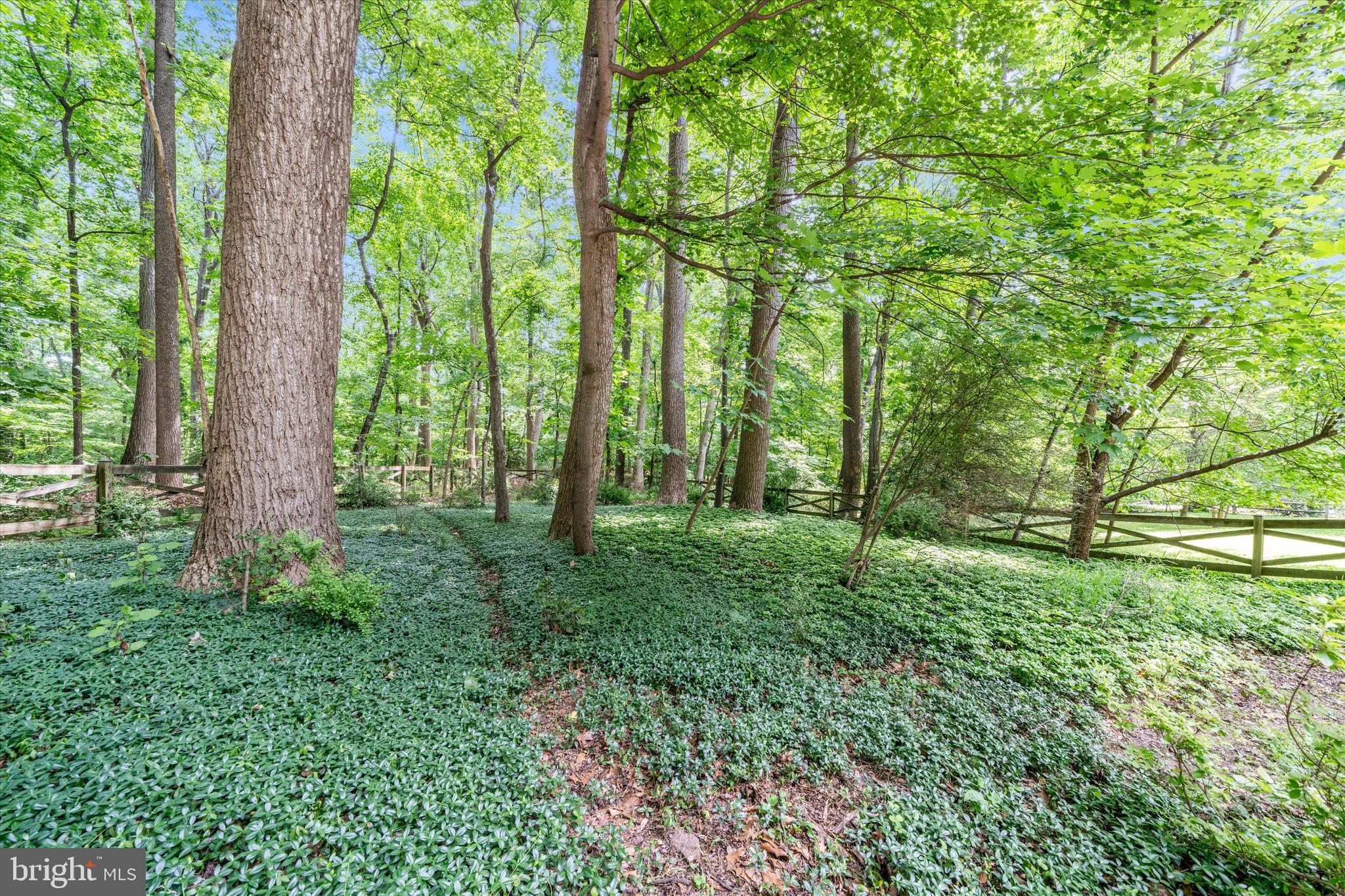 PAINT BRANCH FARMS - Residential