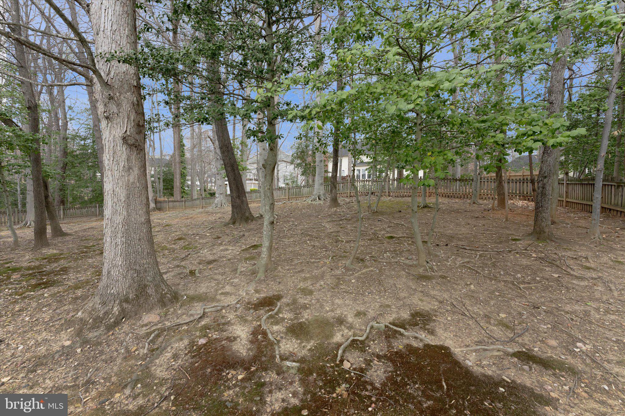 MEADOWBROOK WOODS - Residential