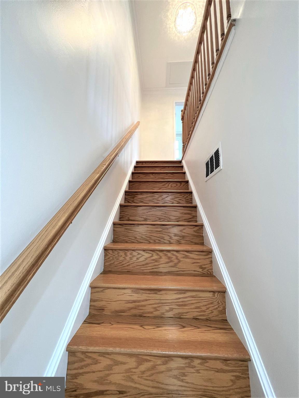 CAMERON HOMES - Residential Lease