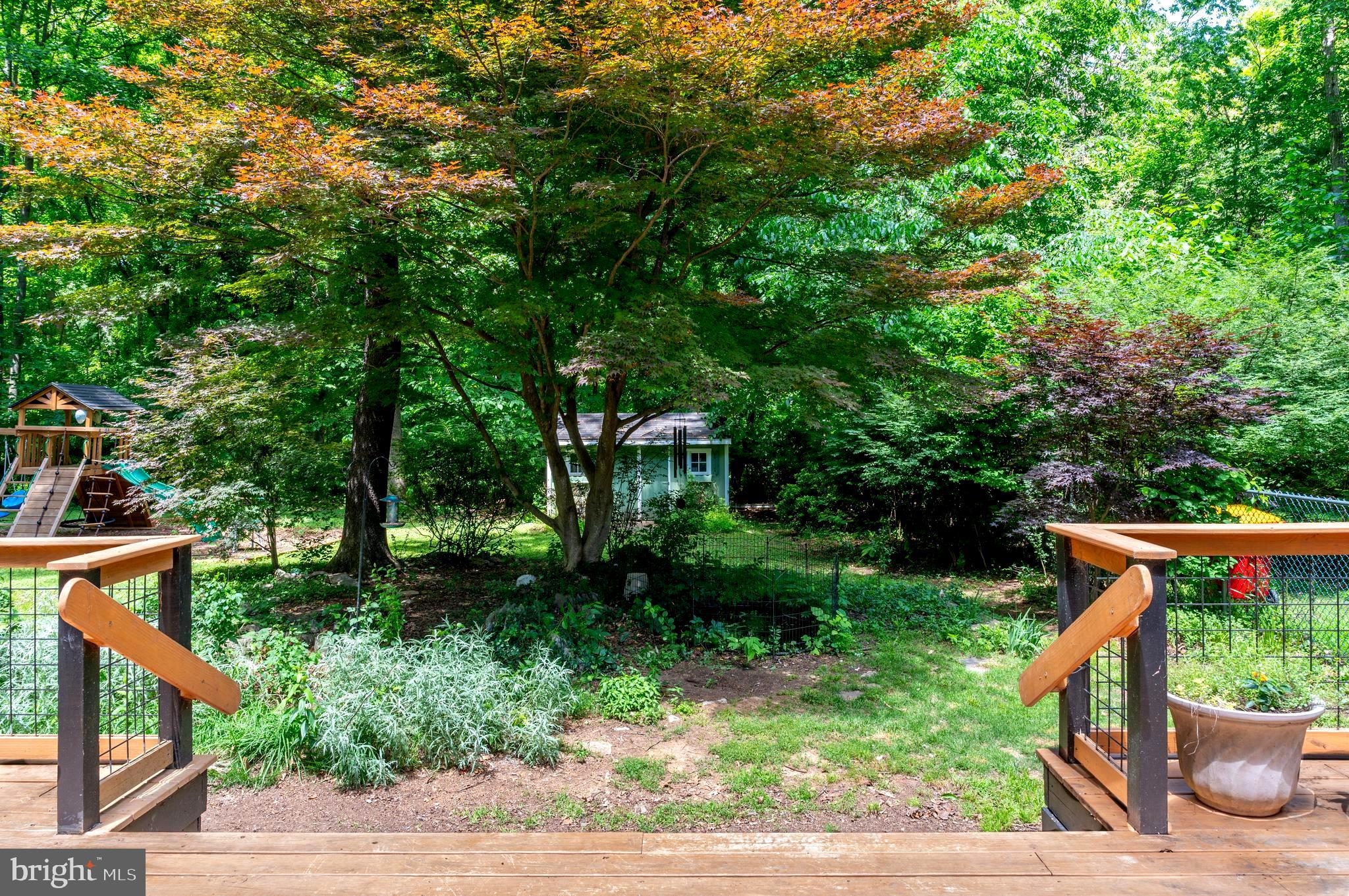 CHAPLINE'S CHOICE - Residential