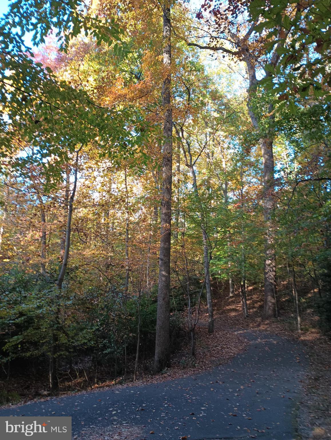 HUNTERS WOODS VILLAGE - Residential