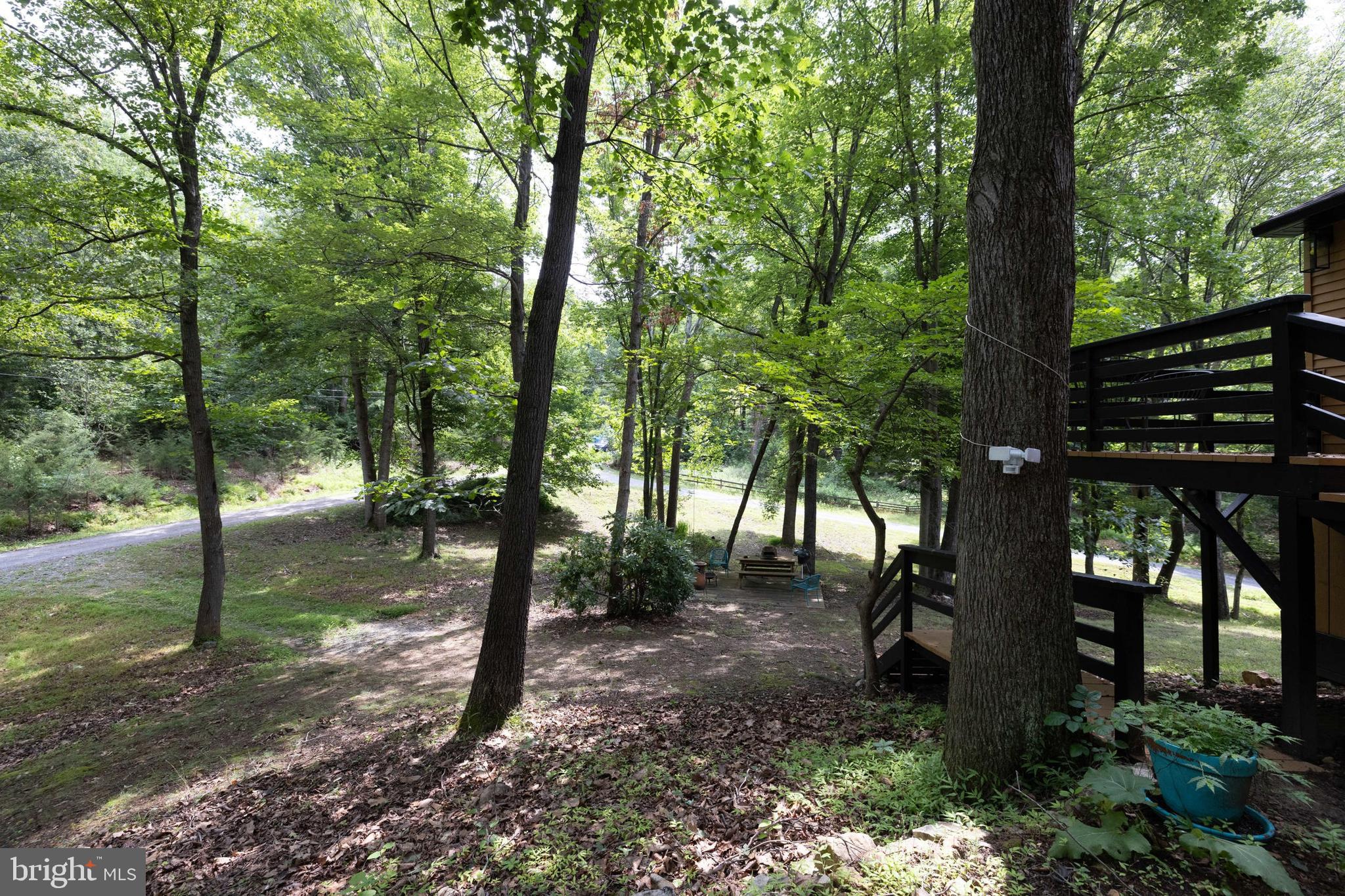 SHENANDOAH GAP - Residential