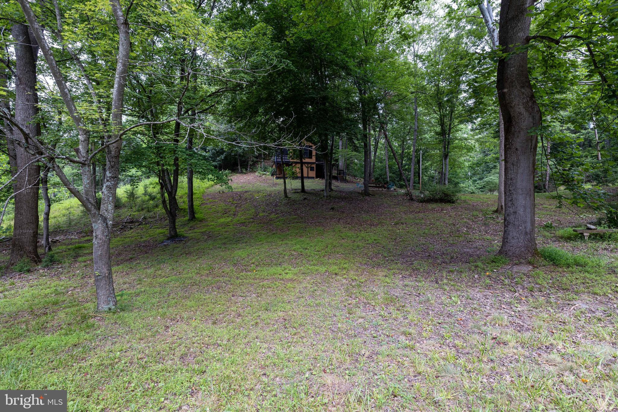 SHENANDOAH GAP - Residential