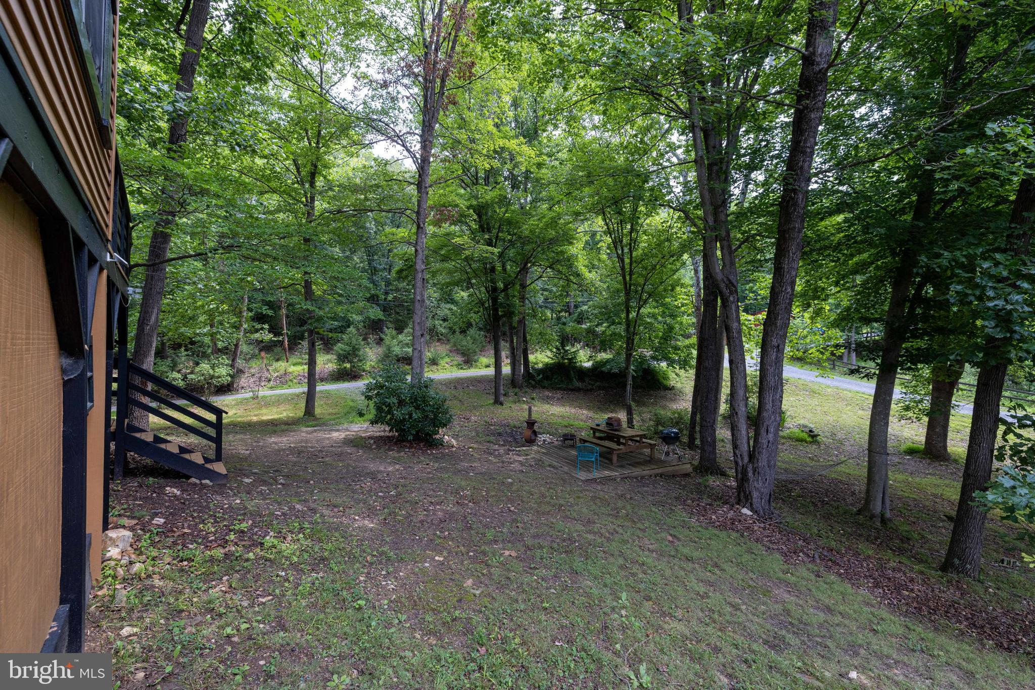 SHENANDOAH GAP - Residential
