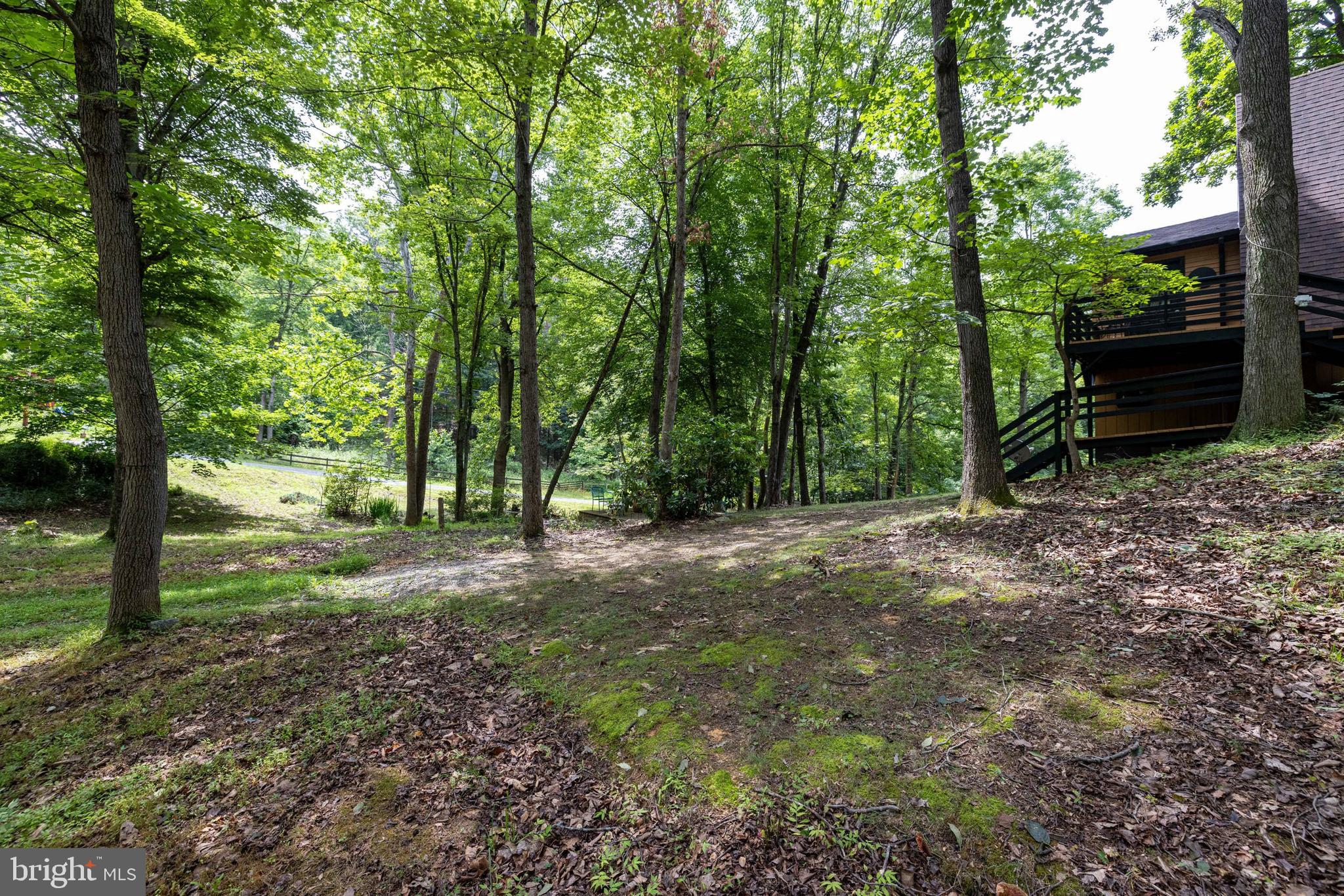 SHENANDOAH GAP - Residential