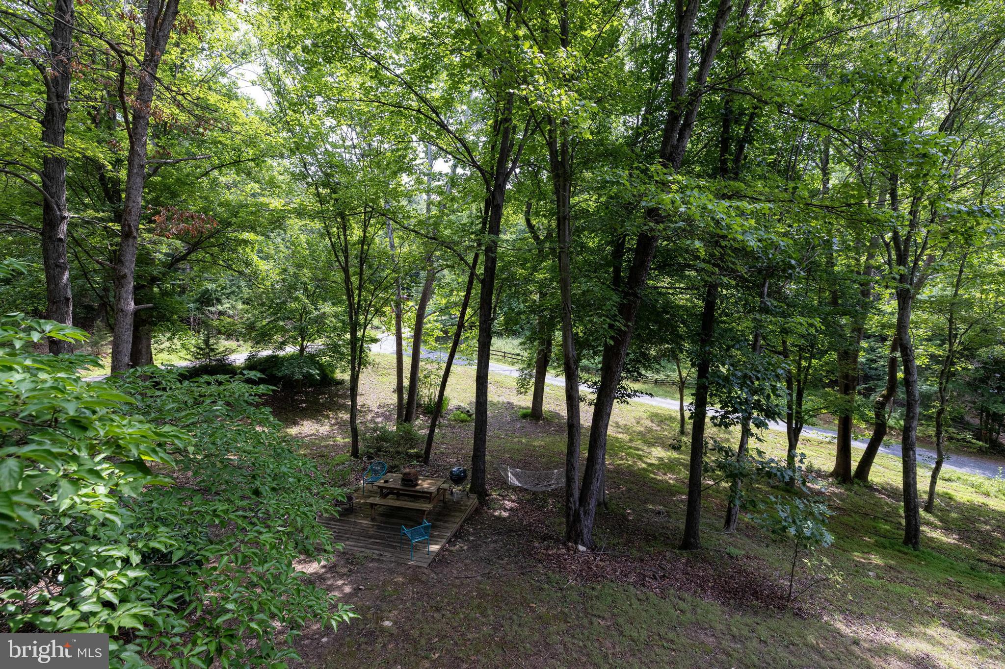 SHENANDOAH GAP - Residential