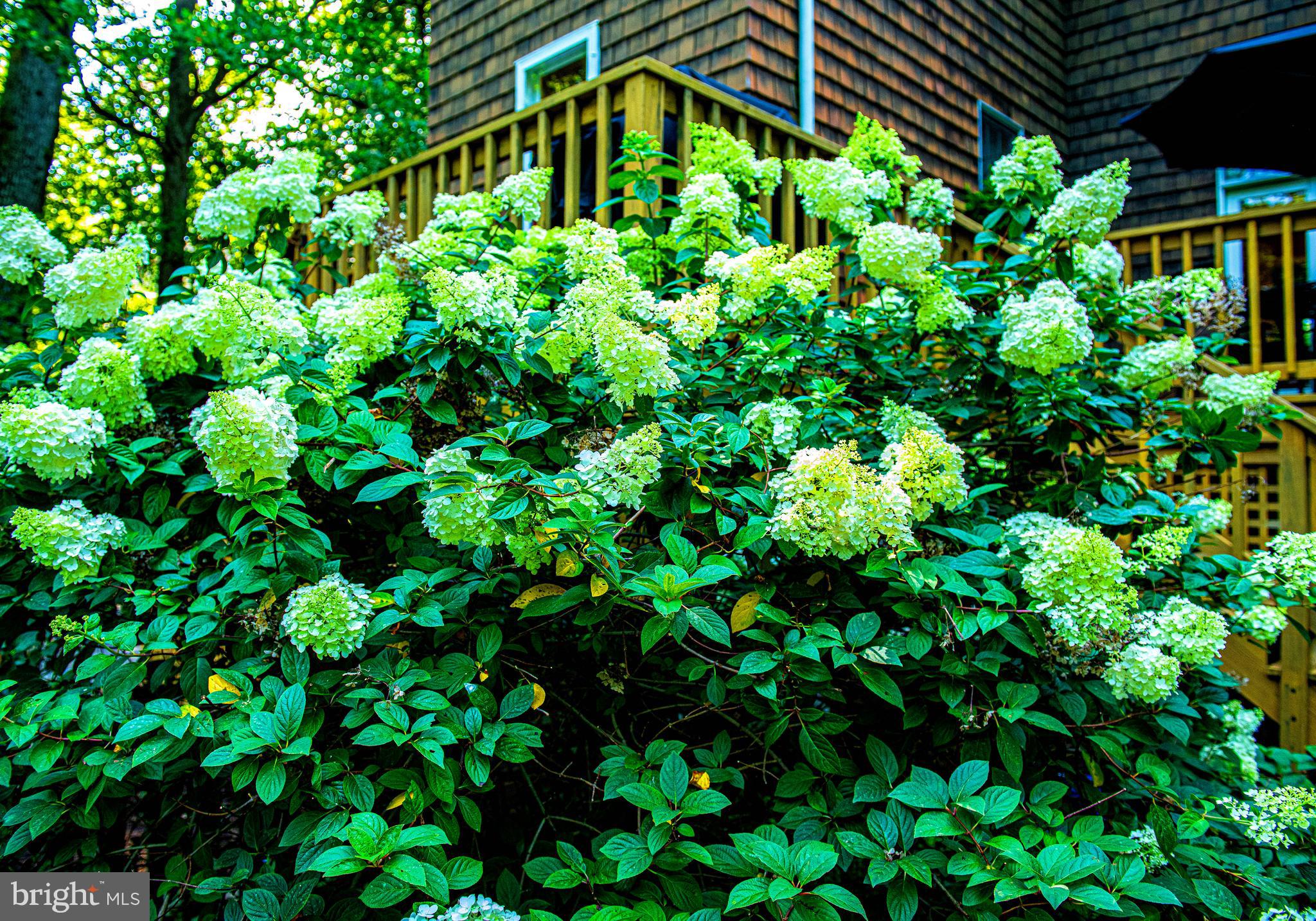 SUDBROOK PARK - Residential