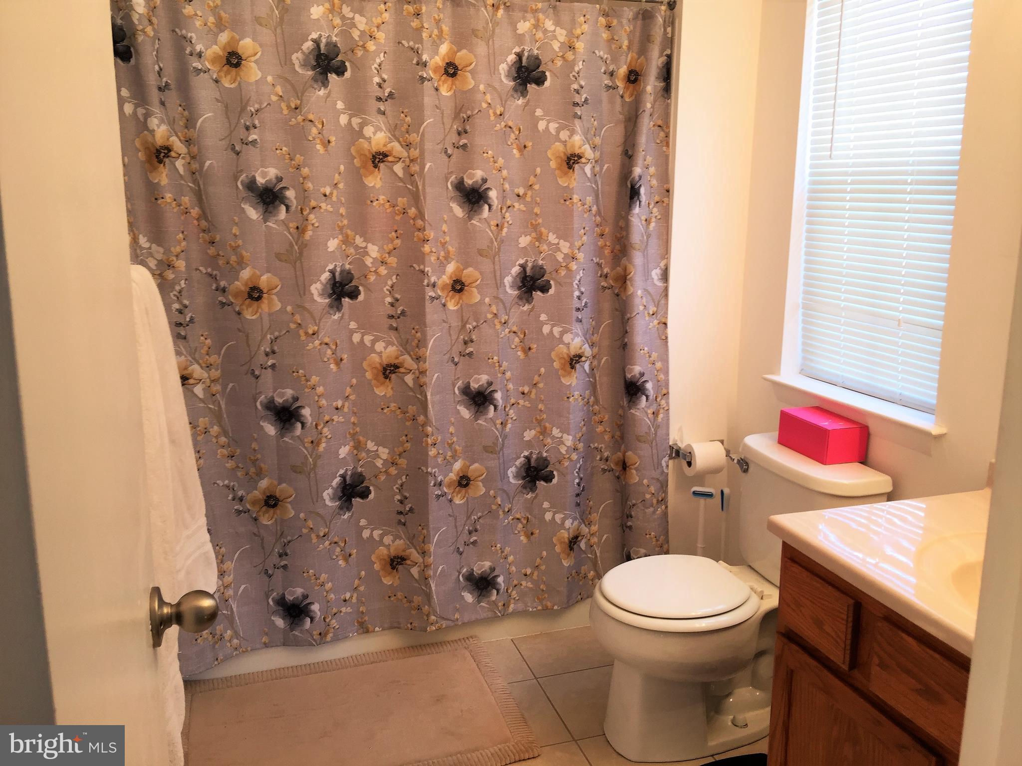 ASHBURN VILLAGE - Residential