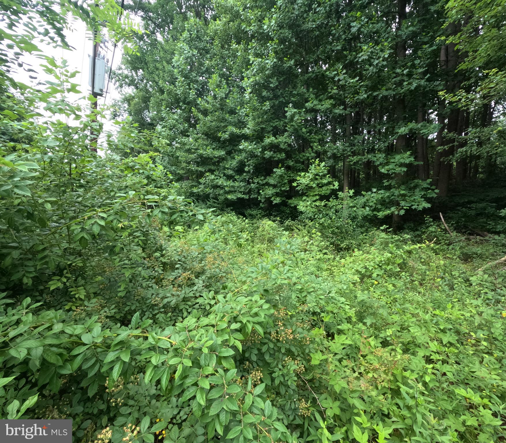 WHEATON OUT RES. (2) - Land