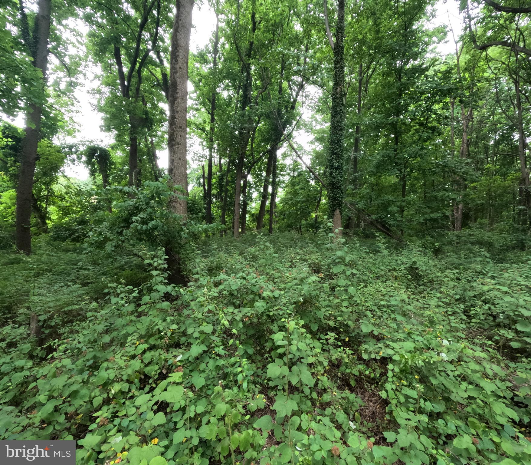 WHEATON OUT RES. (2) - Land
