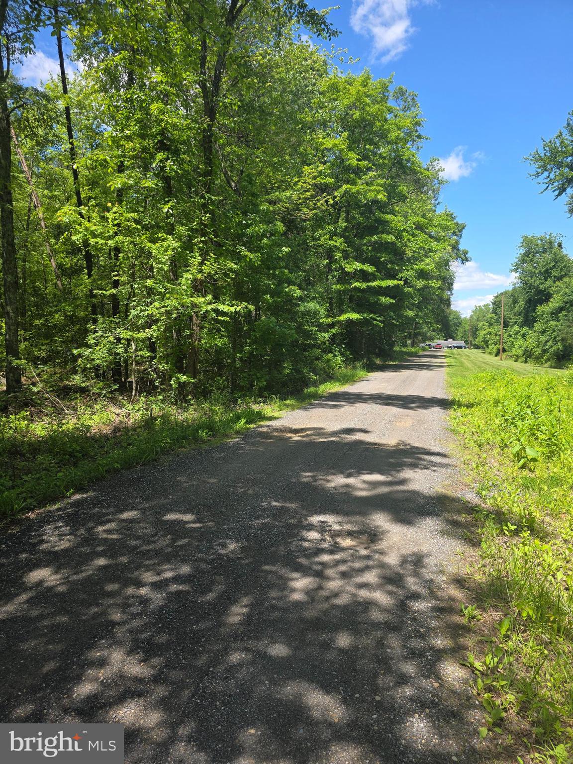 Attention builders, developers, and dream home buyers! Exceptional opportunity in the highly sought-after Waldorf, MD area—a wooded 9-acre parcel featuring five buildable lots (buyers to perform their own due diligence). One lot offers direct access from Jermaine Place, and public water and sewer connections are available on Davis Road. Enjoy a serene setting with convenient proximity to local shopping centers, Metro access, and major commuter routes including Routes 228 and 301. This rare find is ideal for development or creating a private estate. Property is sold AS-IS.

TO BE BUILT. NEW CONSTRUCTION. Beautiful lot co-marketed with Caruso Homes. This model is the ----ASHLAND ----Buyer may choose any of Caruso's other models that will fit on the lot, but prices will vary. The price shown includes the Base House Price, The Lot, and the Estimated Lot Finishing Cost Only. ------ To schedule an appointment with Caruso Homes to discuss further and get the details of the building process, etc.  BUYERS ALERT! New construction to perm home loans are AVAILABLE! Conventional 5% down, VA no downpayment,  One-time close, and construction financing.