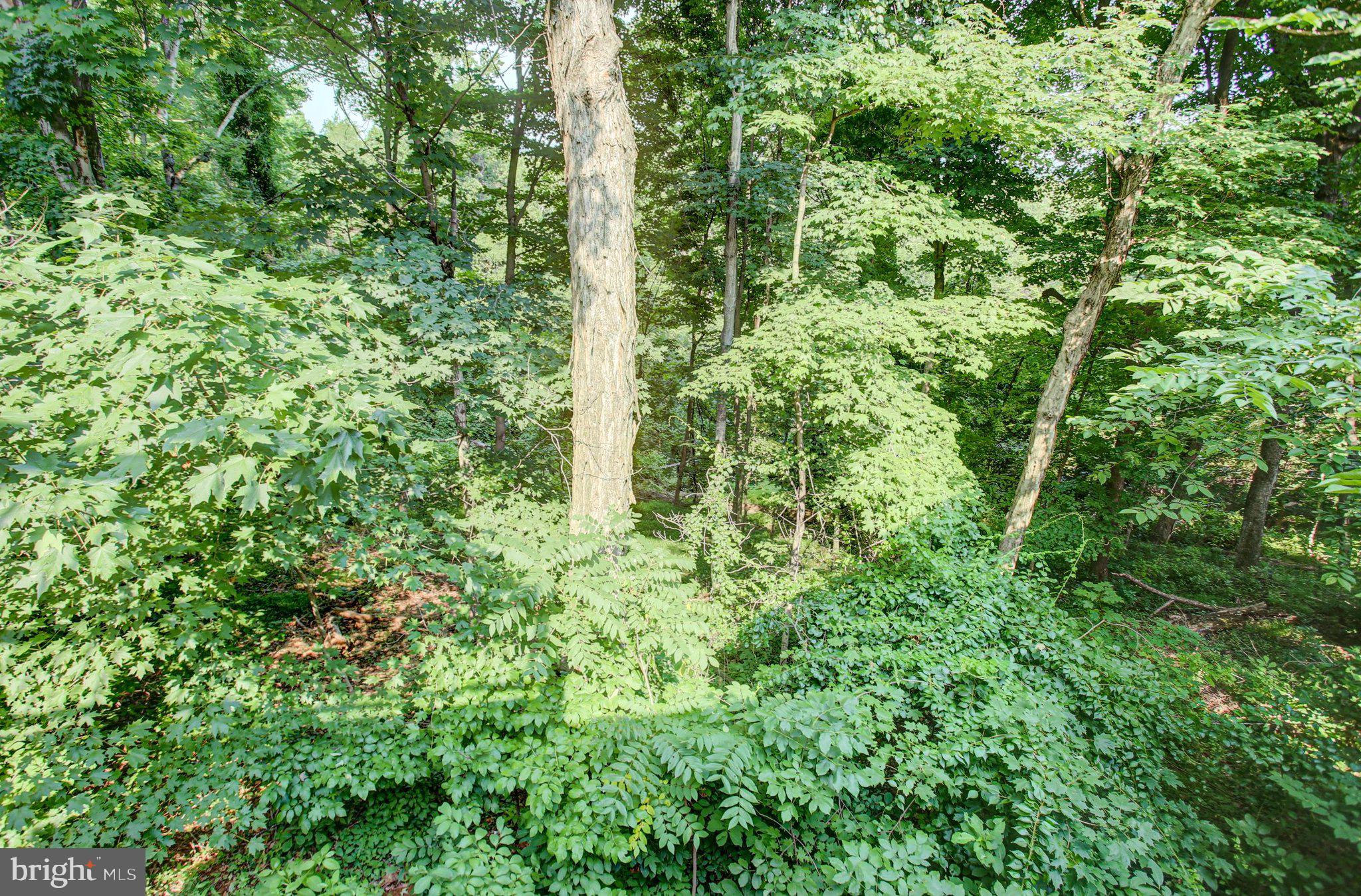 FAIRFIELD/CARROLL VALLEY - Residential