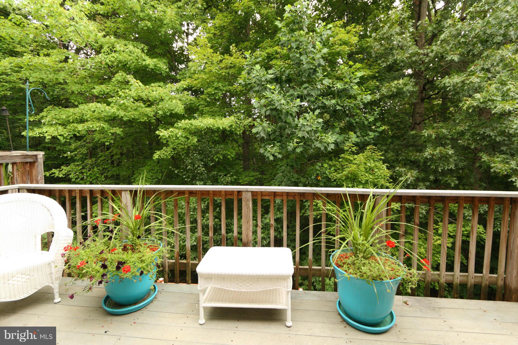 MONTCLAIR - Residential