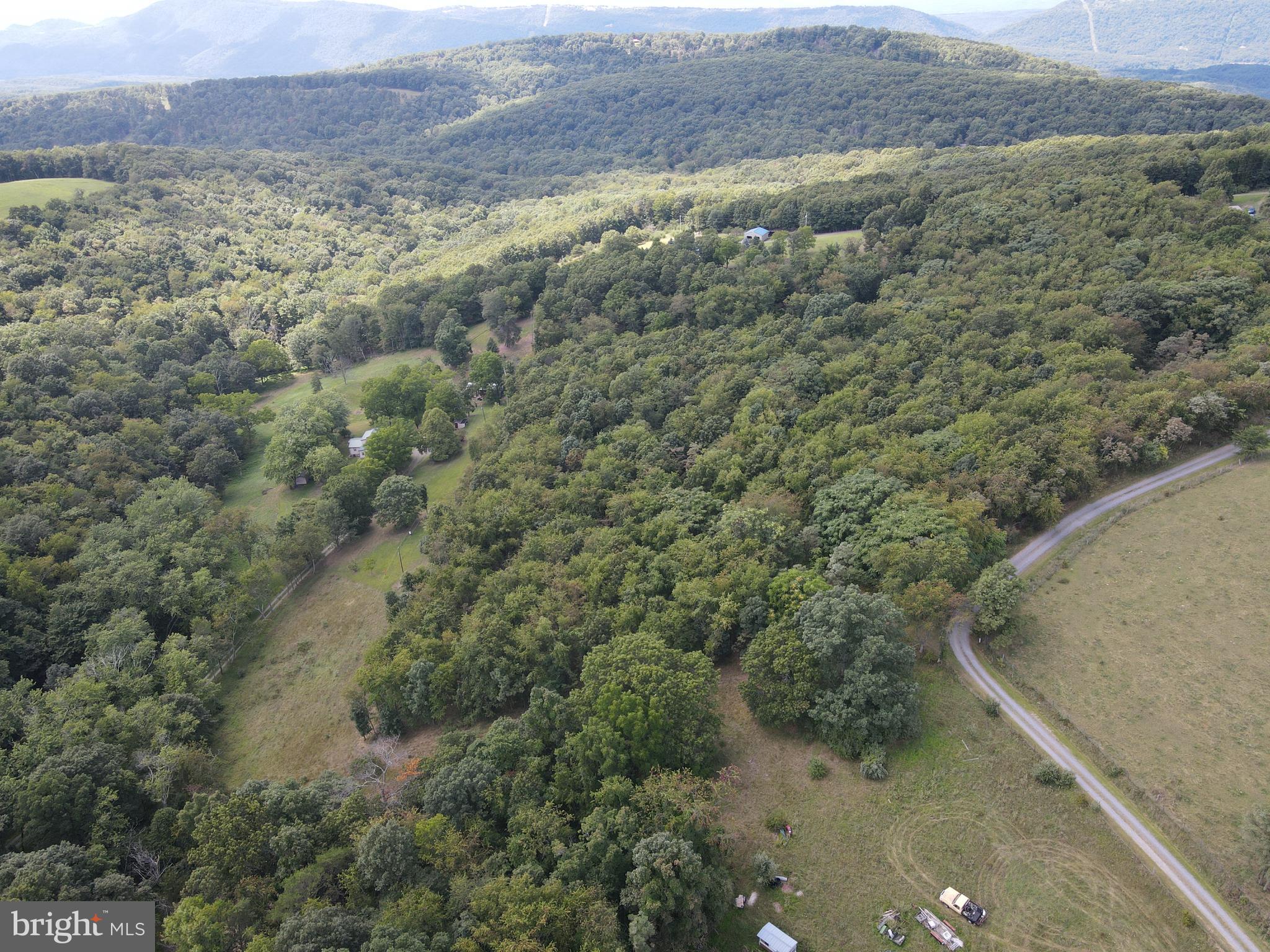CALL NOW TO SEE THIS OVER 4.6 ACRES OF ROLLING AND WOODED LAND READY  FOR YOUR ENJOYMENT!  IF YOU ARE LOOKING TO MAKE AN INVESTMENT OR JUST OWN YOUR OWN PIECE OF TERRA FIRMA THEN COME SEE THIS ONE. LOCATED CLOSE TO TOWN WITH ALL AMENITIES SUCH AS BANKING AND SHOPPING AND RESTAURANTS TO PUBLIC HUNTING LANDS AND PUBLIC ACCESS TO SOUTH BRANCH OF THE POTOMAC RIVER. LET THE ANIMALS BE YOUR NEIGHBORS INCLUDING SQUIRRELS, DEER, RABBITS, FOXES, BIRDS AND SEVERAL MORE CRITTERS WHO MIGHT WANDER BY.  SEE THE STARS AND MOON AND CONSTELLATIONS IN A CLEAR MOUNTAIN SKY.  MOVE TO WEST VIRGINIA AND BECOME A MOUNTAINEER.