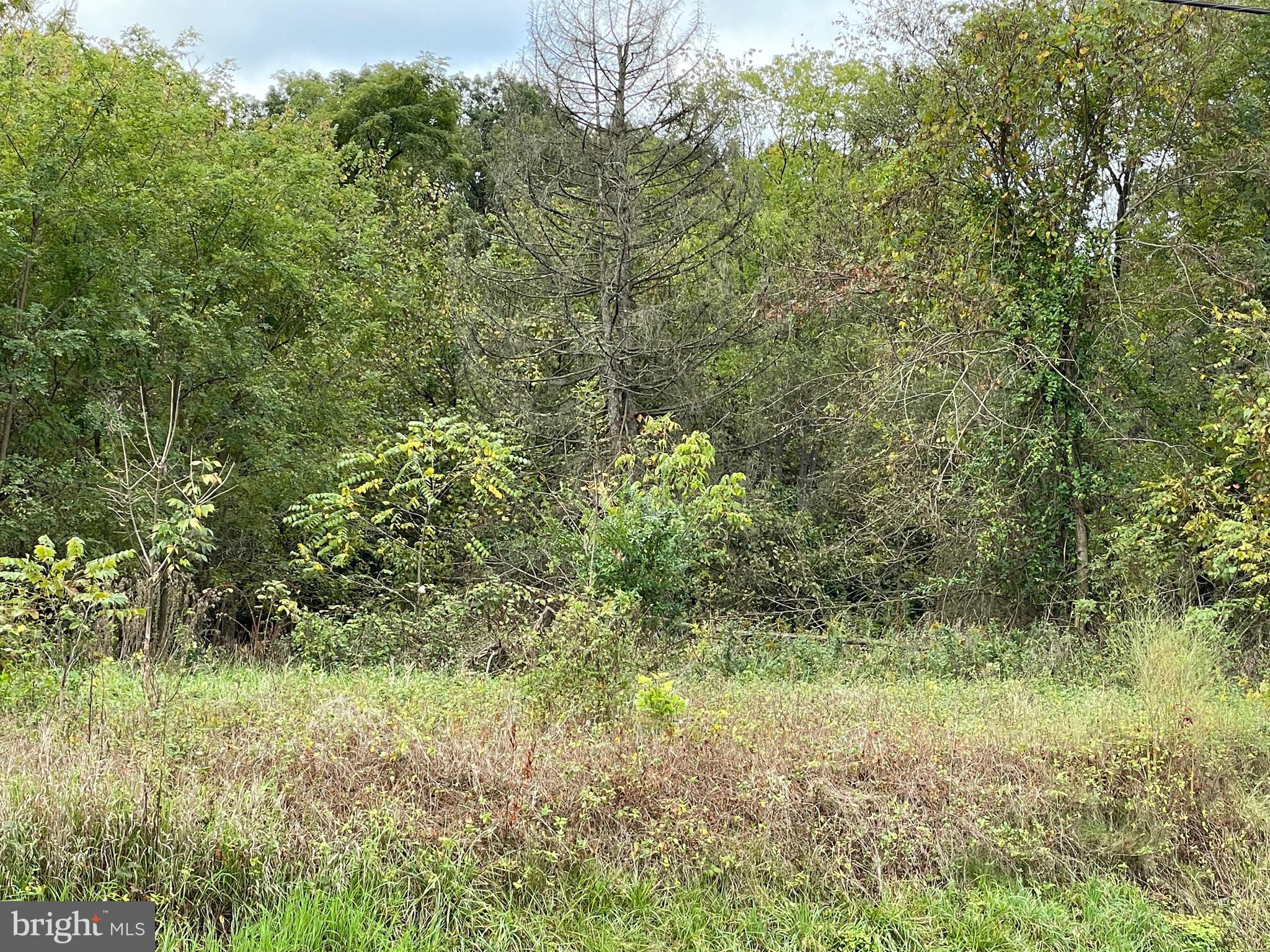 Building lot in the town Romney.  Property can be accessed from Gravel Lane and faces Rt 50.