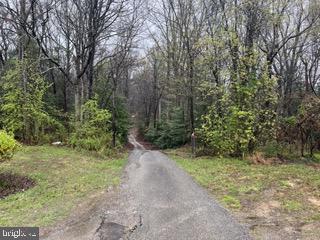 Beautiful wooded lot just waiting for it's new owner to build their dream home. No HOA!! Plenty of land to bring your toys to ride, or hunt. Property perked in 1982 and just re verified with the health dept new perc on 4-4-2024 to todays standards for a traditional septic system. Ready for the new owner to have an engineer record the perc and start process of location and size of home.  Lot lines are estimated and only to show shape of lot. Driveway will be shared with 1 home that is on a large parcel adjacent to this lot. Offers will be reviewed as they come in. Do not enter driveway without an agent, no drive bye's or walking the lot without an appointment. Reach out to the listing agent if you need assistance and I will happily schedule a showing.