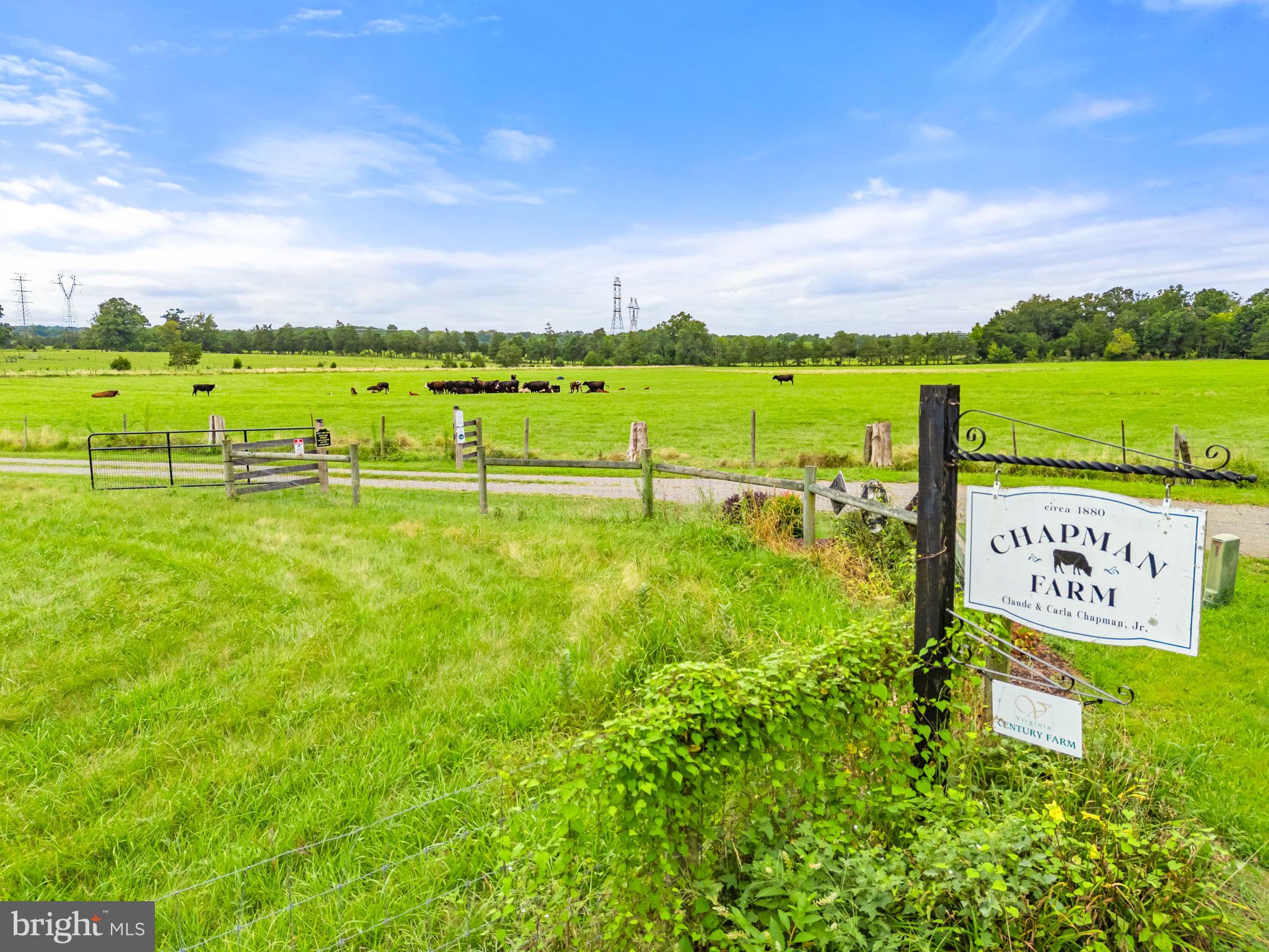 NONE AVAILABLE - Farm
