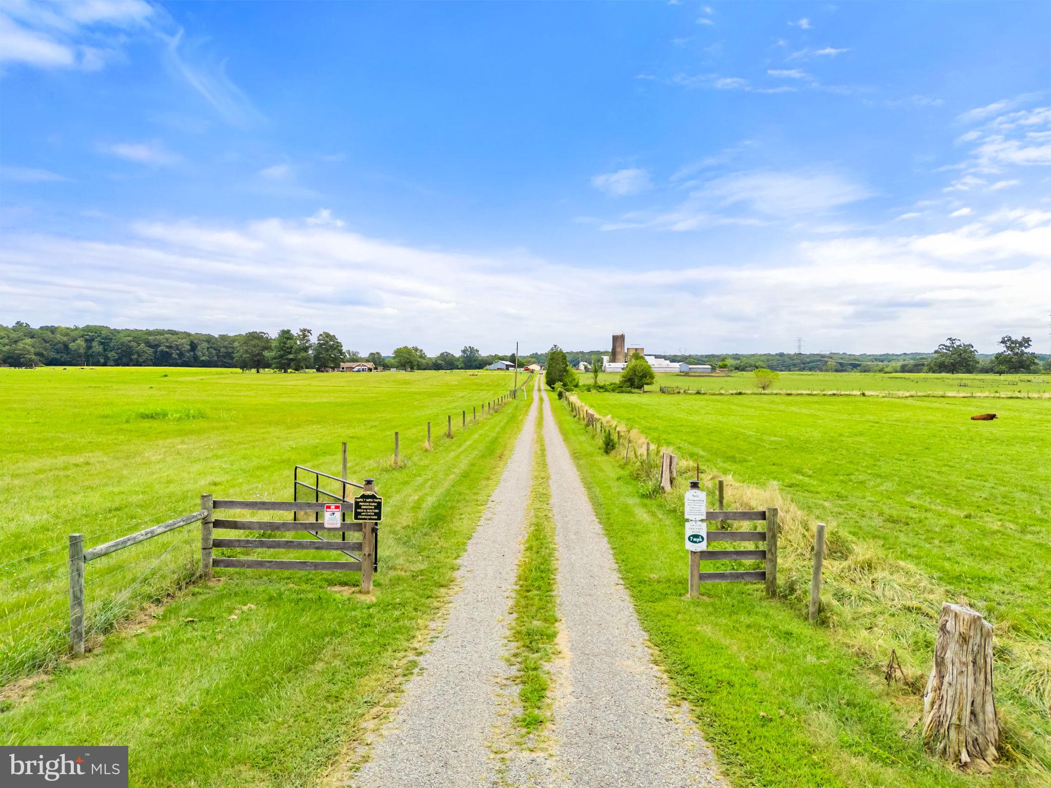 NONE AVAILABLE - Farm
