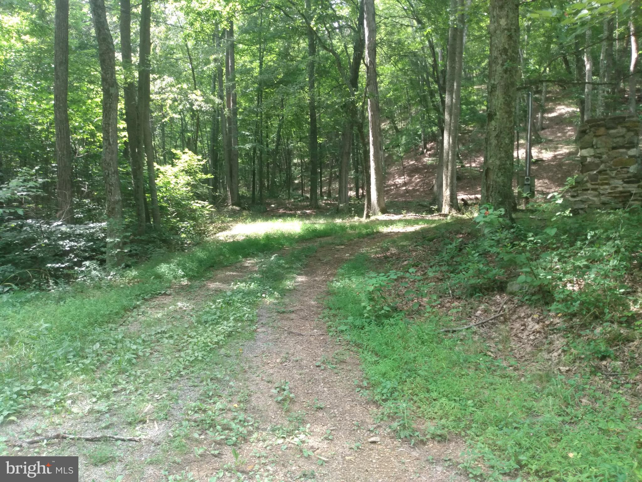 ROUSE MOUNTAIN - Land