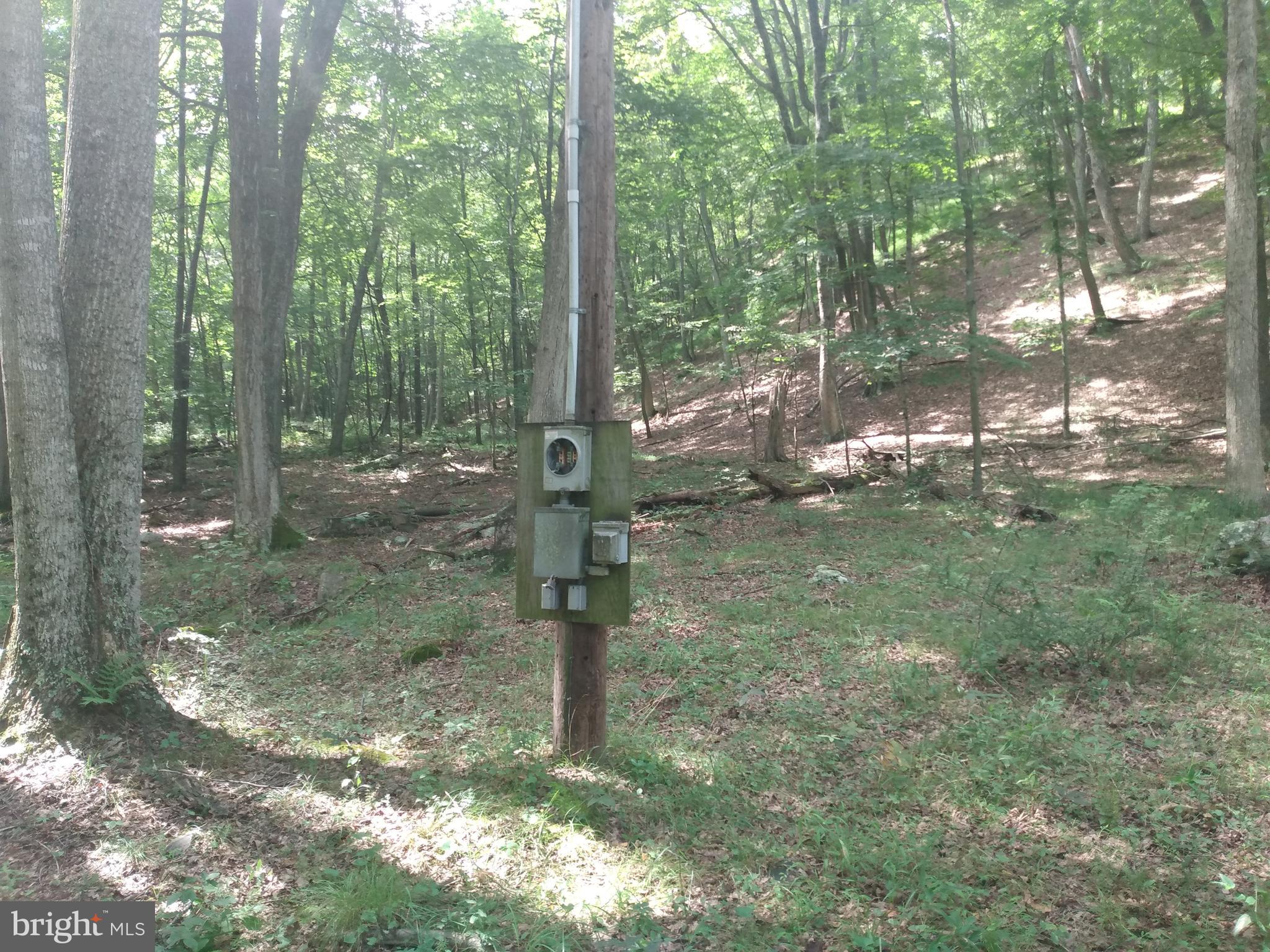 ROUSE MOUNTAIN - Land