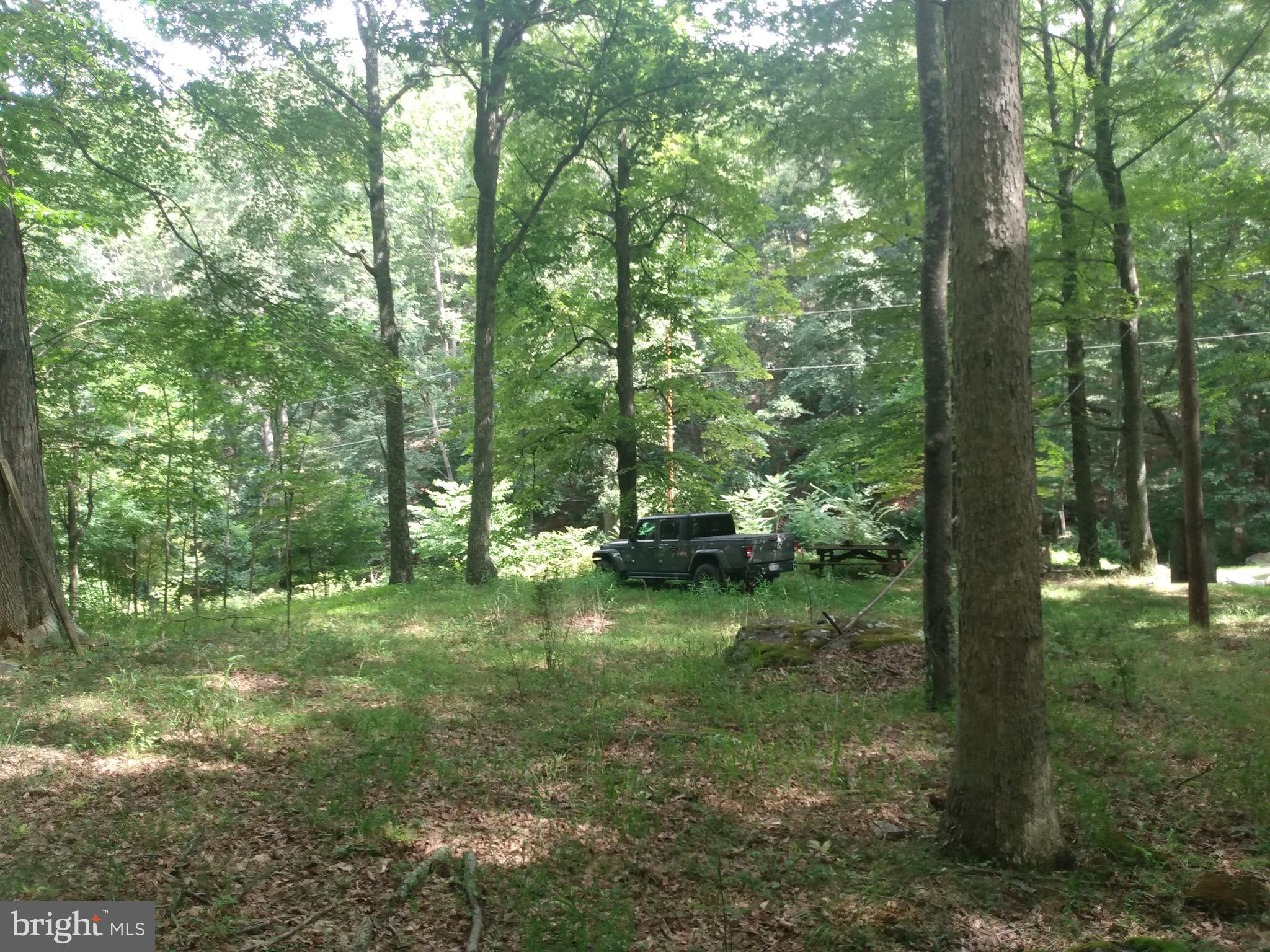 ROUSE MOUNTAIN - Land