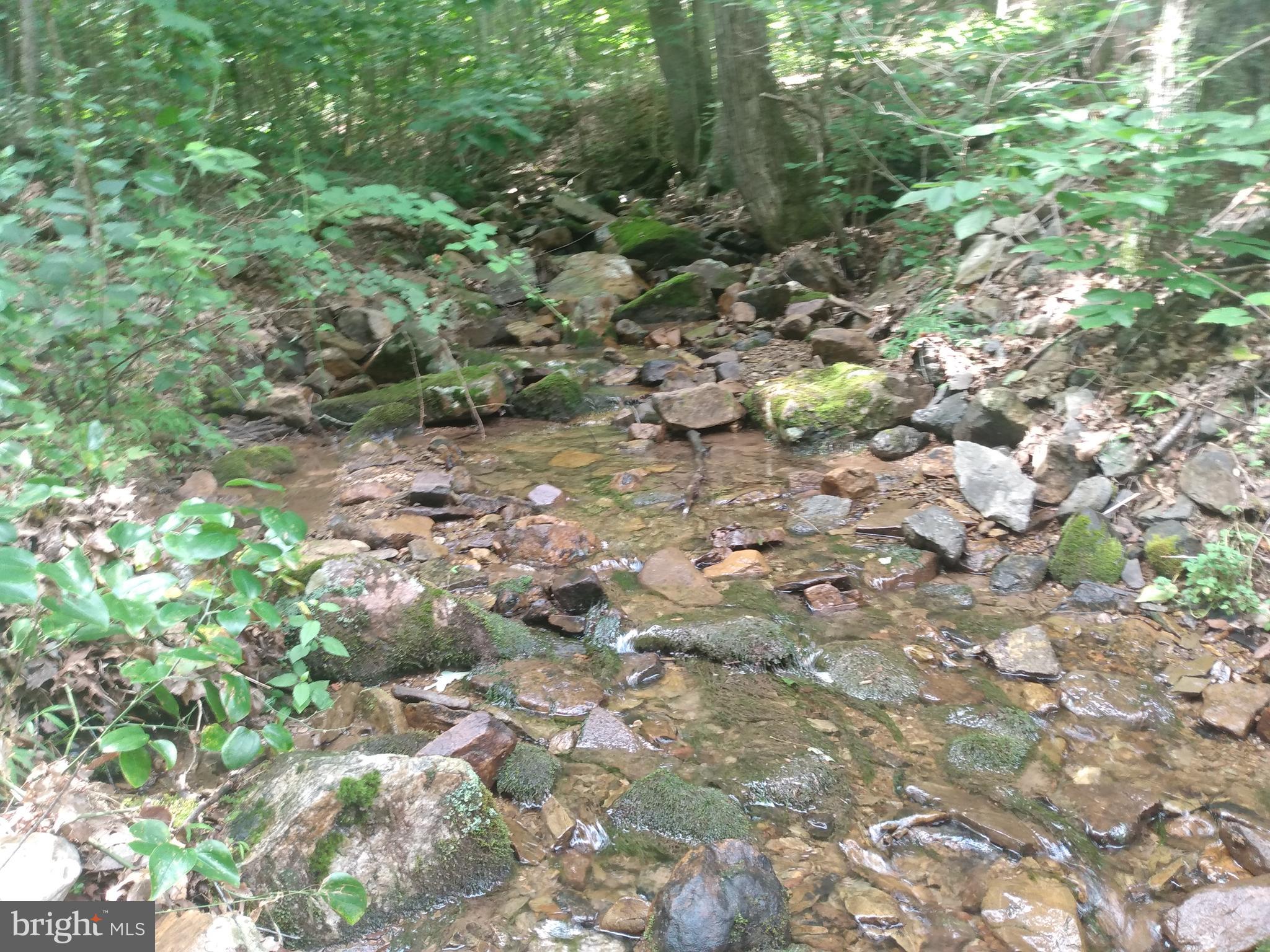 ROUSE MOUNTAIN - Land