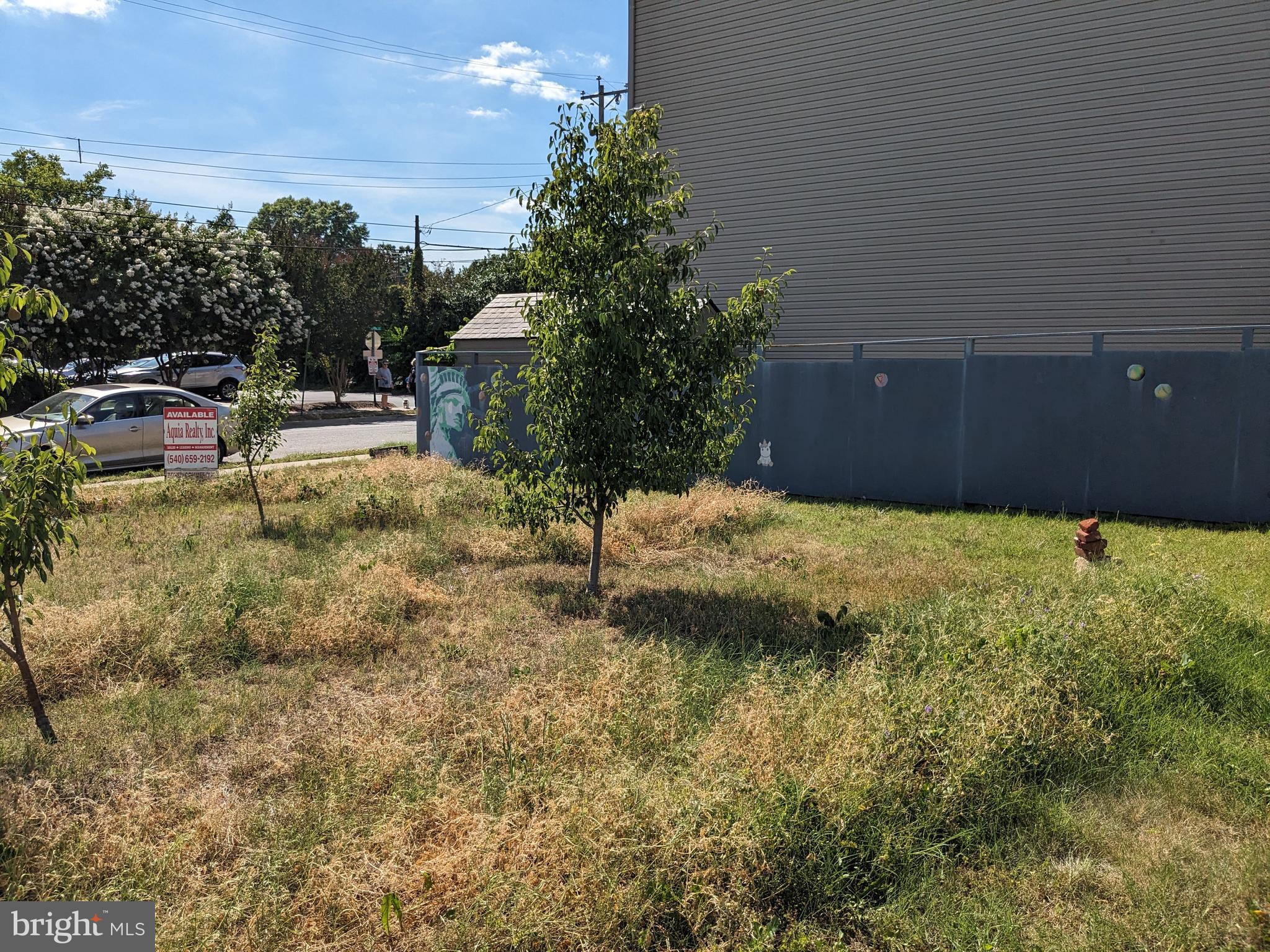 DOWNTOWN FREDERICKSBURG - Commercial Sale