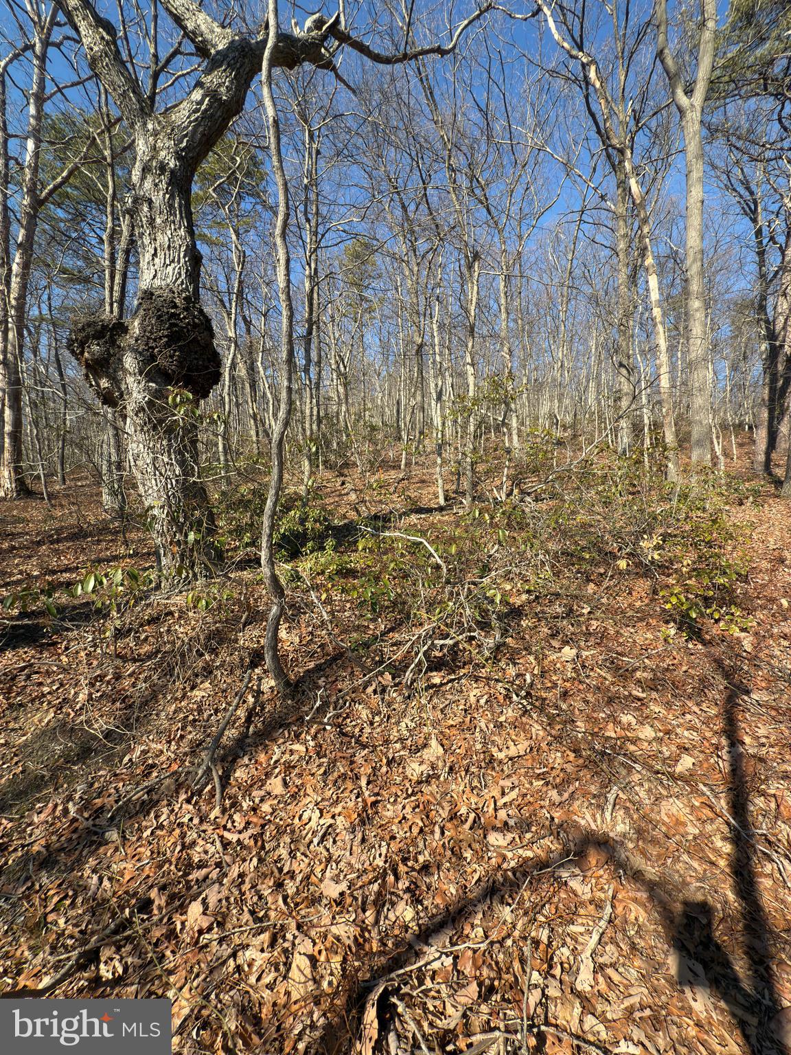 WILD ACRES - Land