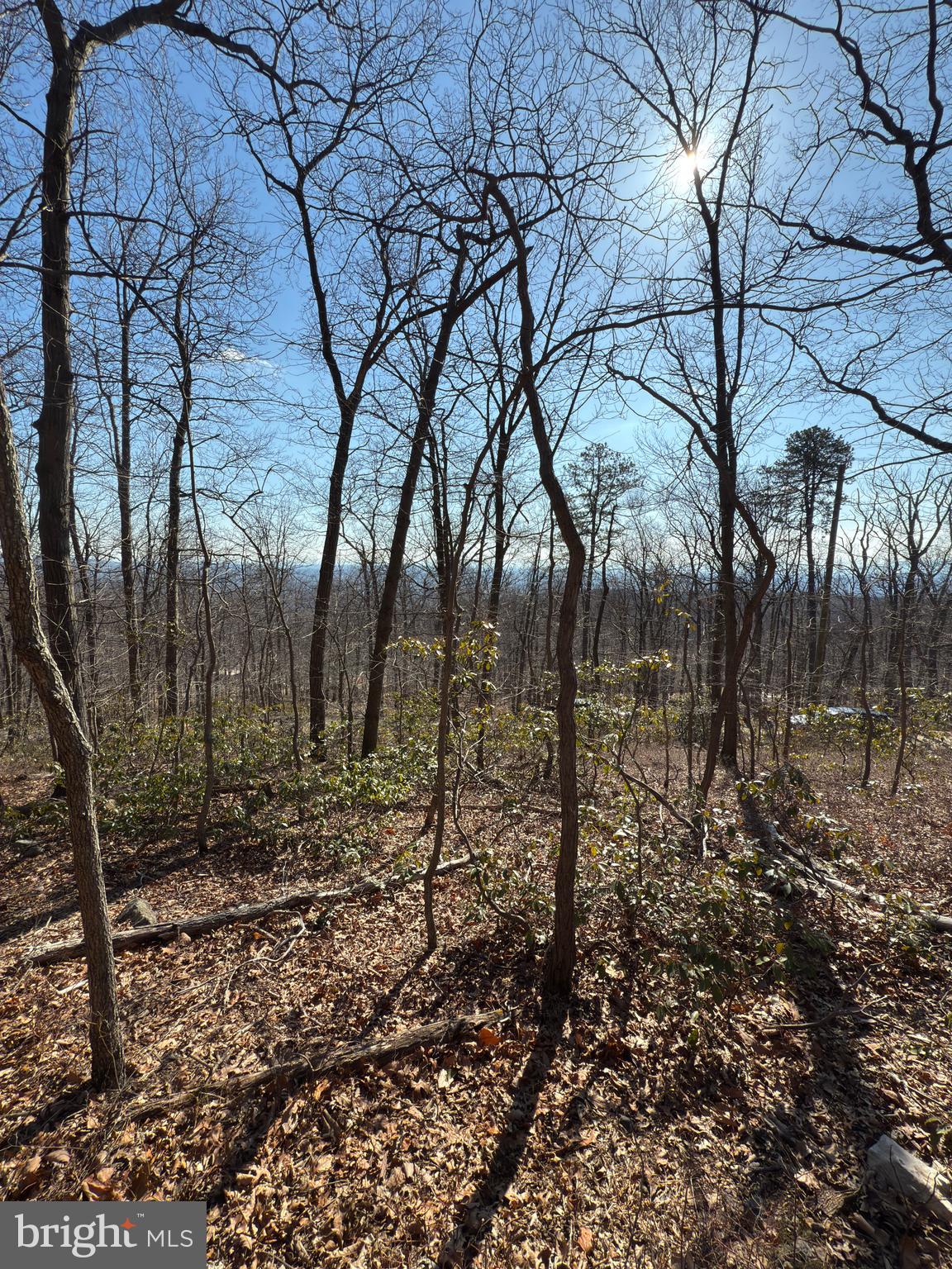 WILD ACRES - Land