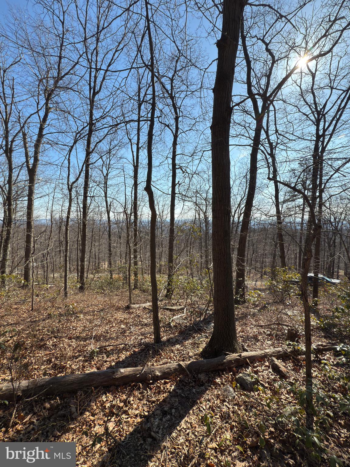 WILD ACRES - Land