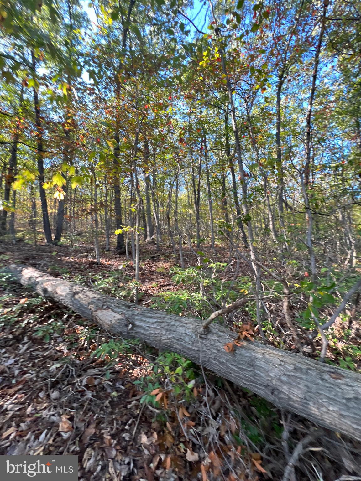 WILD ACRES - Land