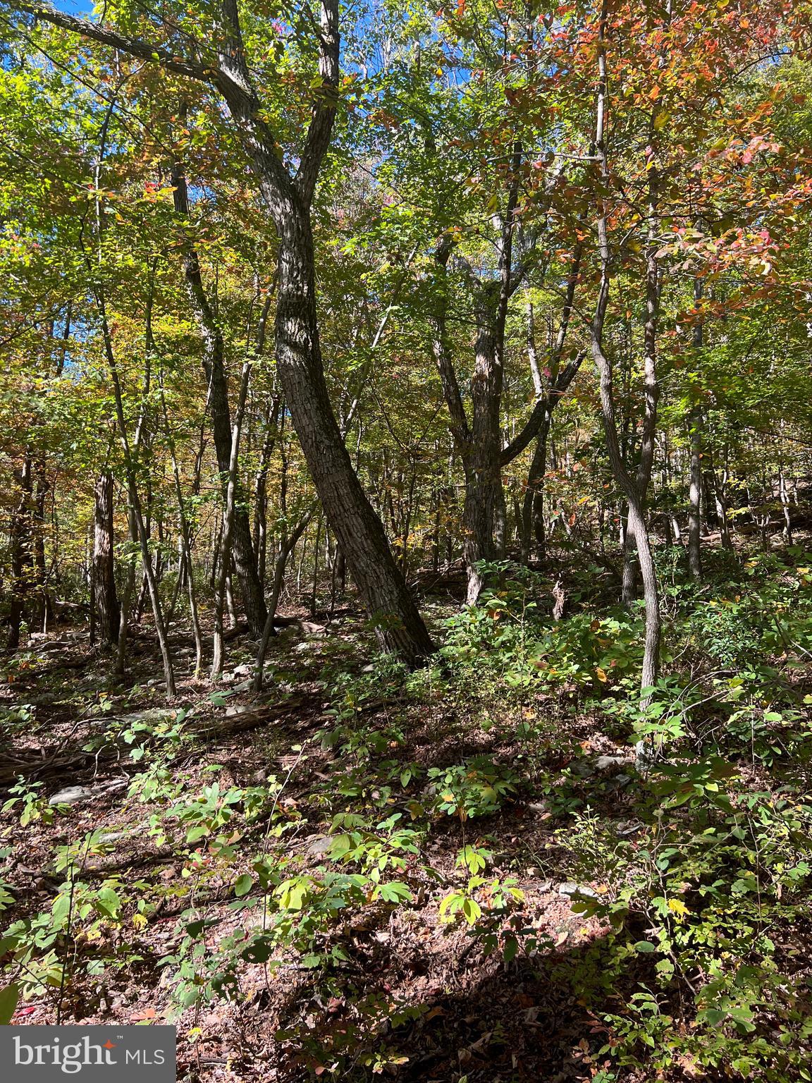 WILD ACRES - Land