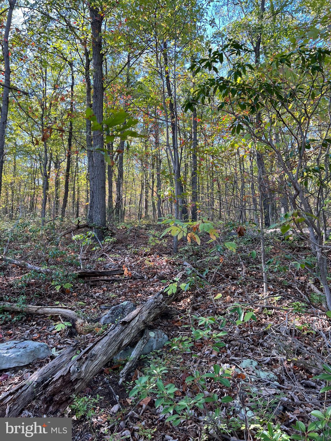 WILD ACRES - Land