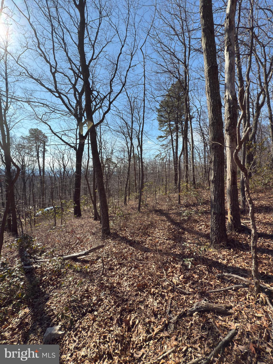 WILD ACRES - Land