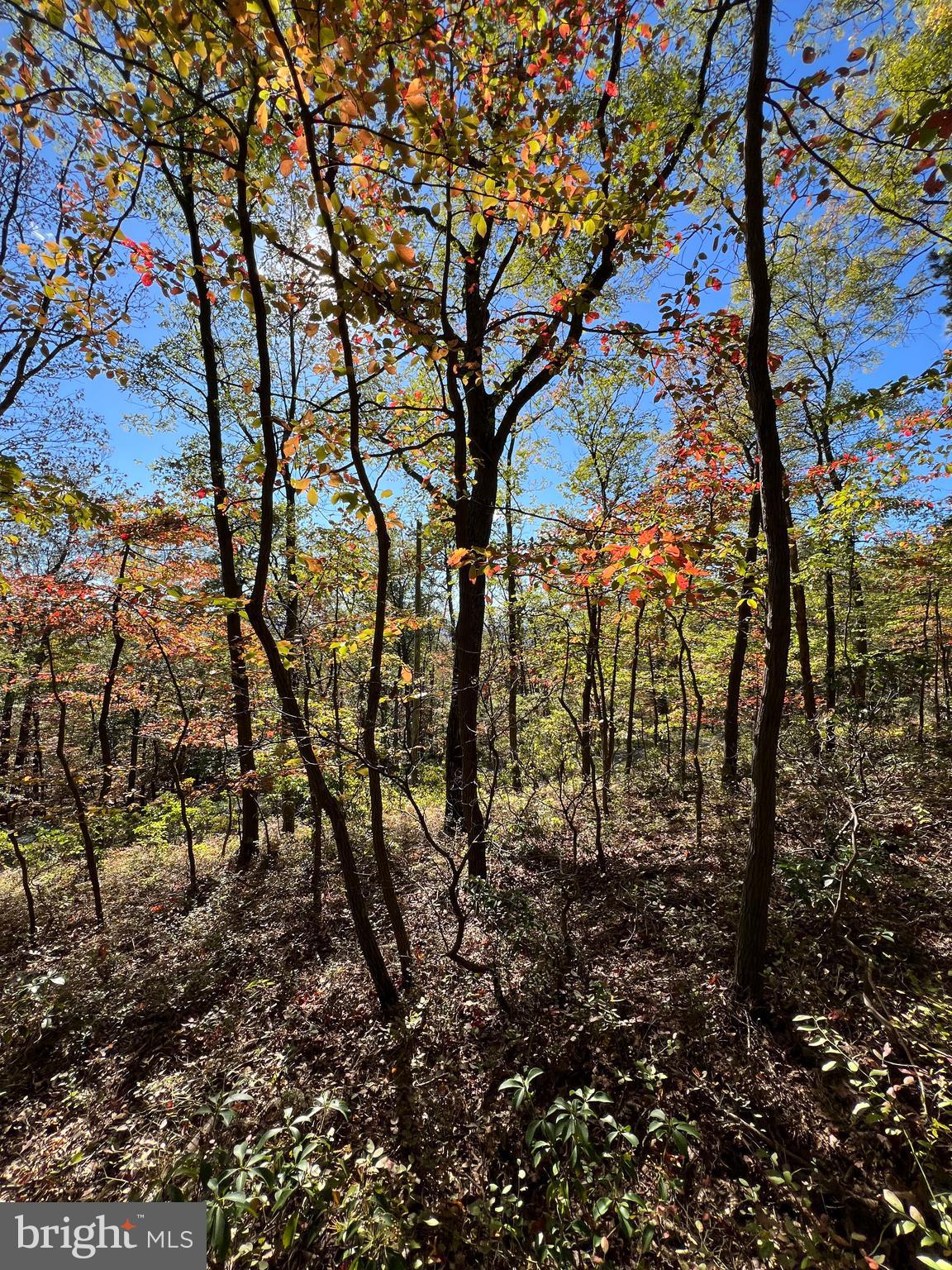 WILD ACRES - Land